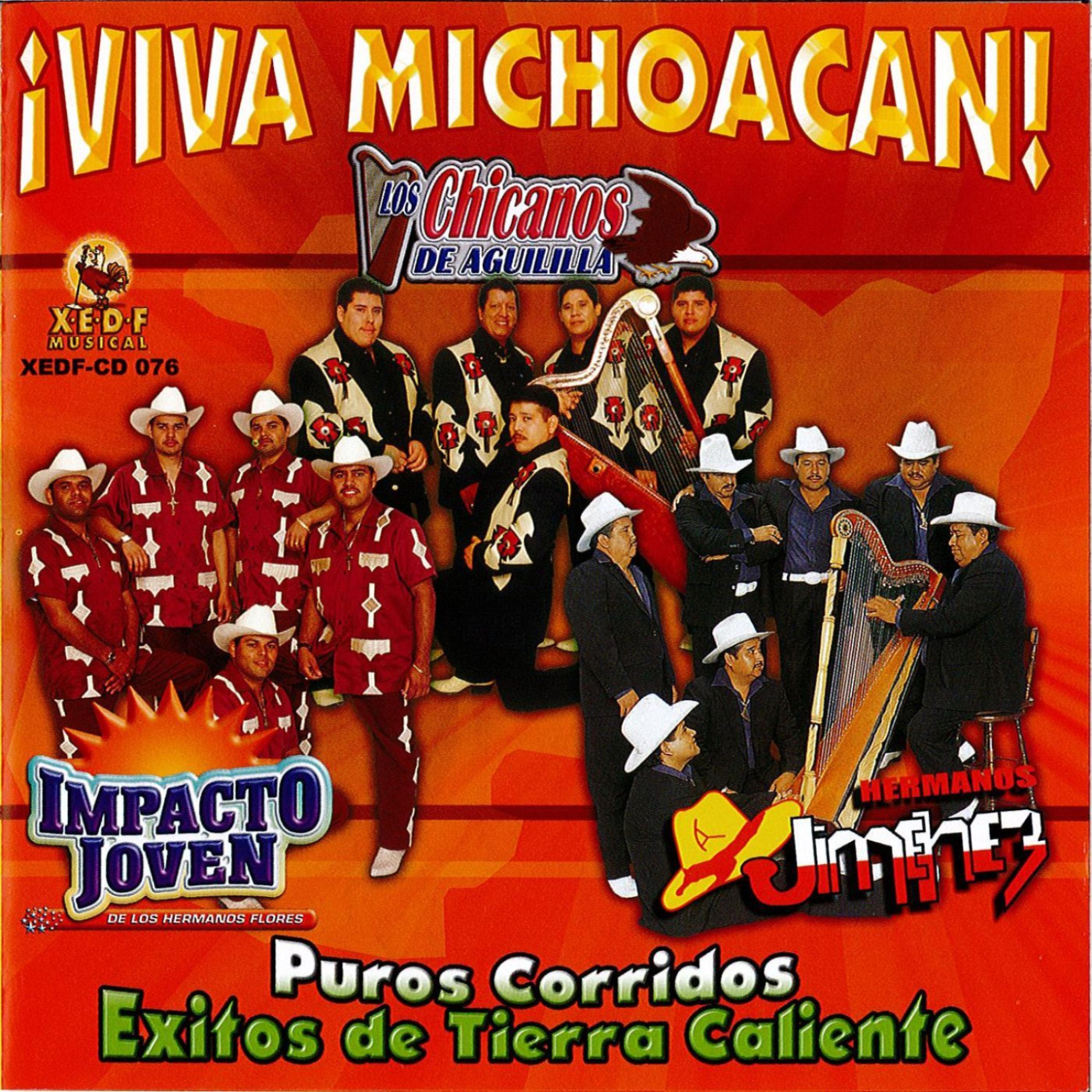 Постер альбома Viva Michoacan