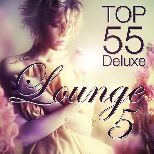 Постер альбома Lounge Top 55, Vol. 5