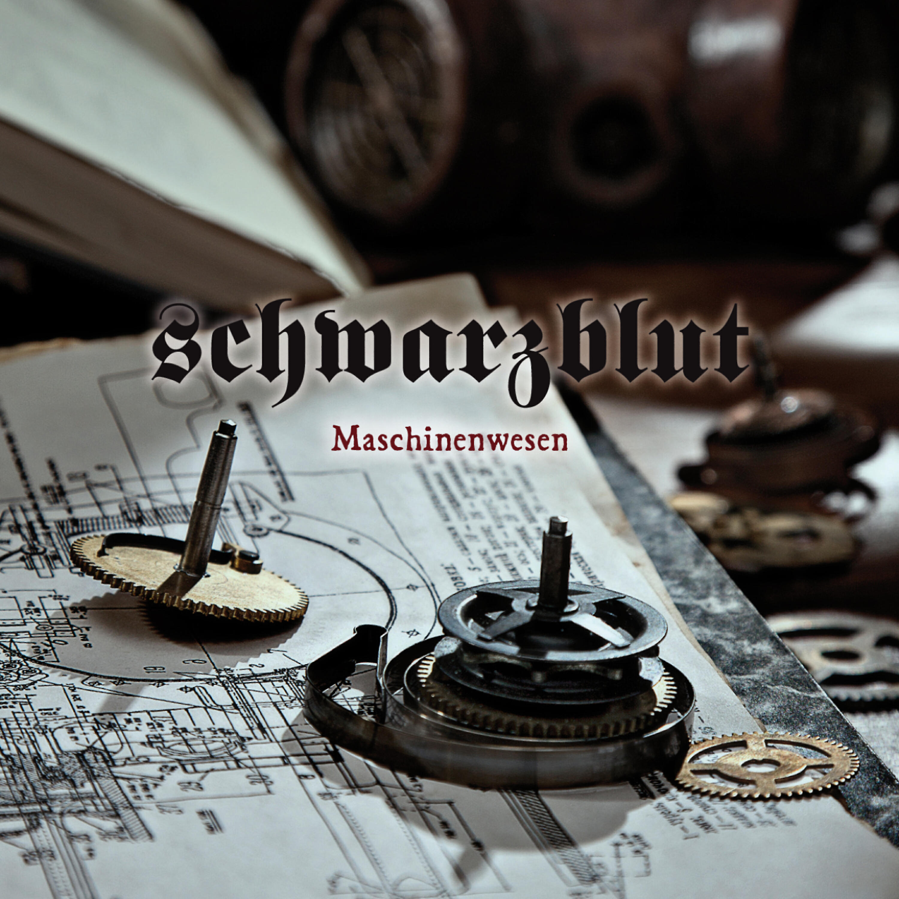 Schwarzblut - Ein Schatten (Neikka RPM Remix)
