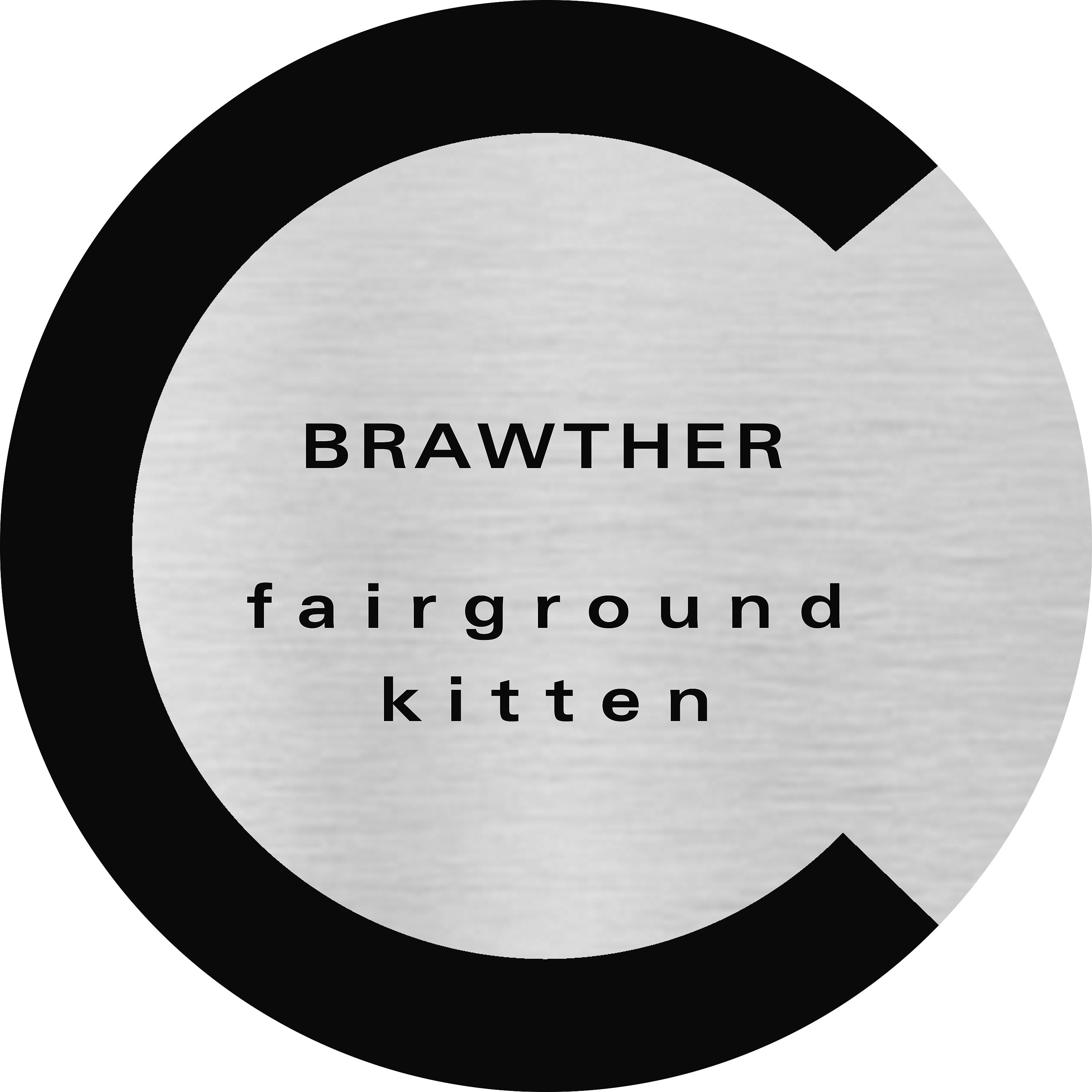 Постер альбома Fairground / Kitten
