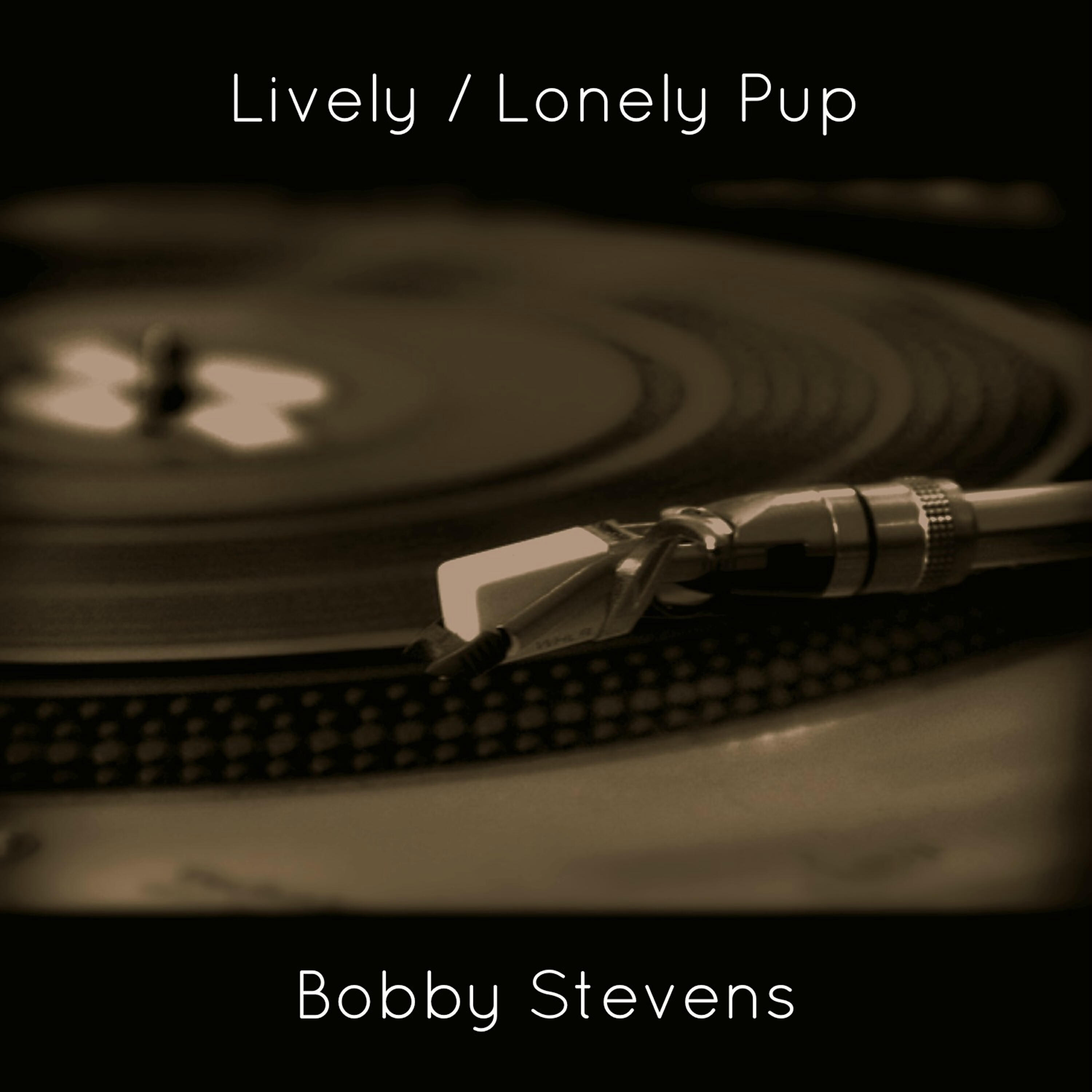 Bobby Stevens - Lonely Pup