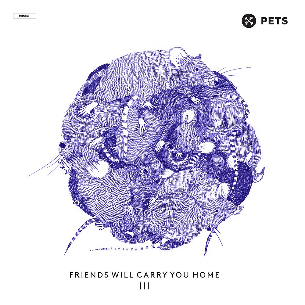 Постер альбома Friends WIll Carry You Home III, Pt. 2