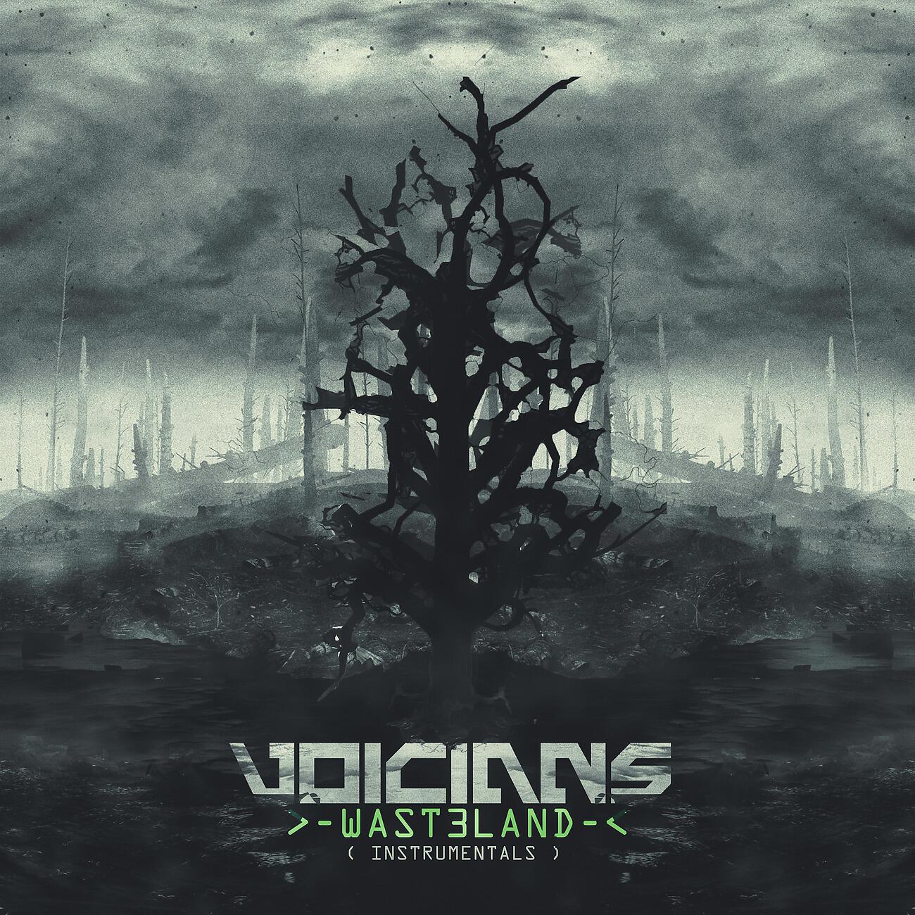 Voicians - Ufa