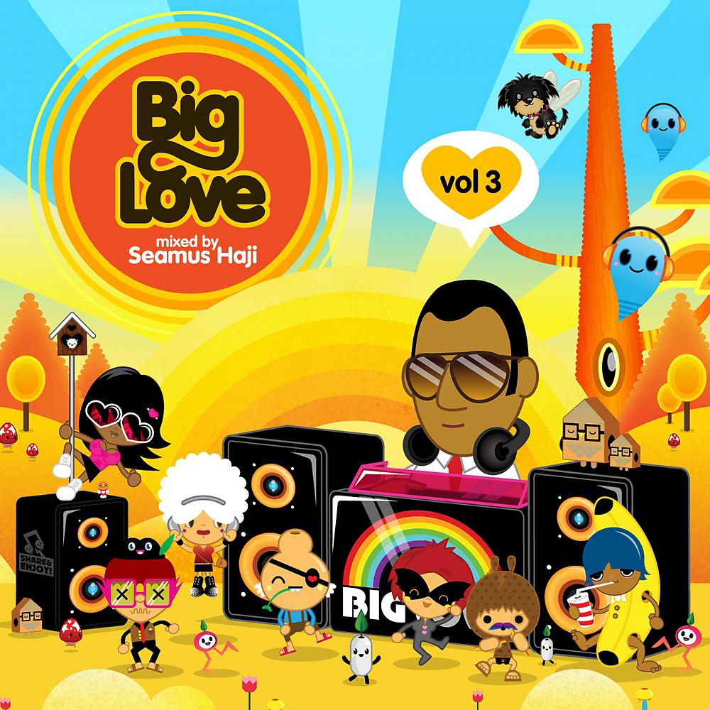 Постер альбома Big Love, Vol. 3 Mixed by Seamus Haji