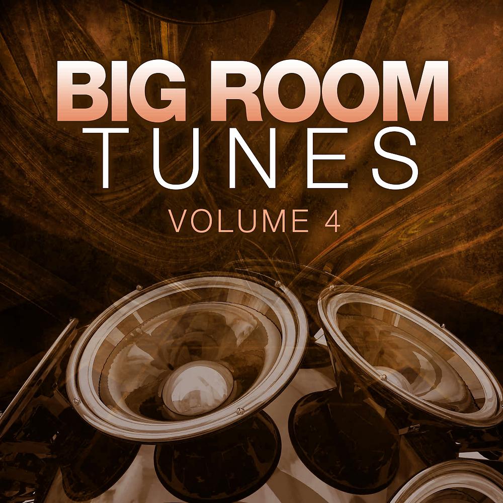 Постер альбома Big Room Tunes, Vol. 4