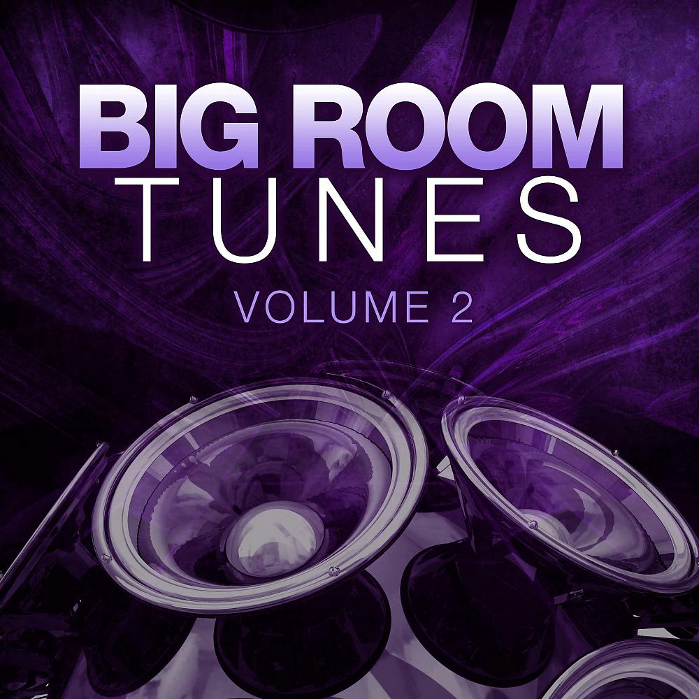 Постер альбома Big Room Tunes 02