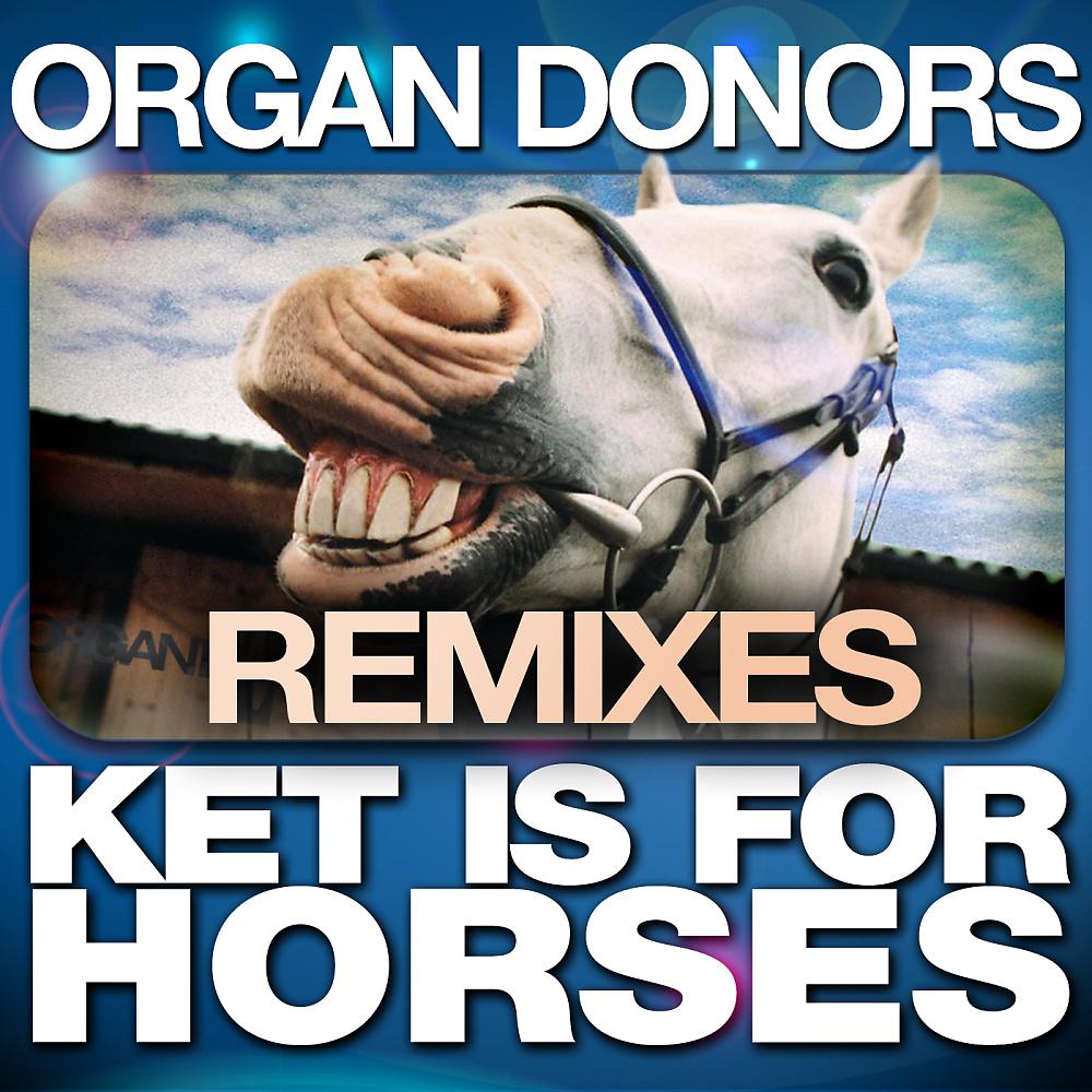 Постер альбома Ket Is for Horses - 2017 Remixes