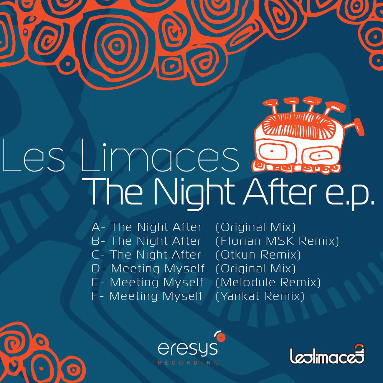 Les Limaces - The Night After (Florian MSK Remix)