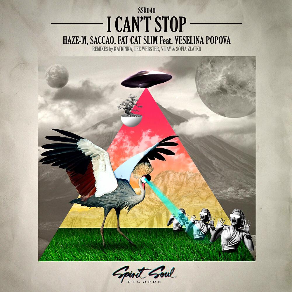 Haze-M - I Can't Stop (Lee Webster Froglife Remix)