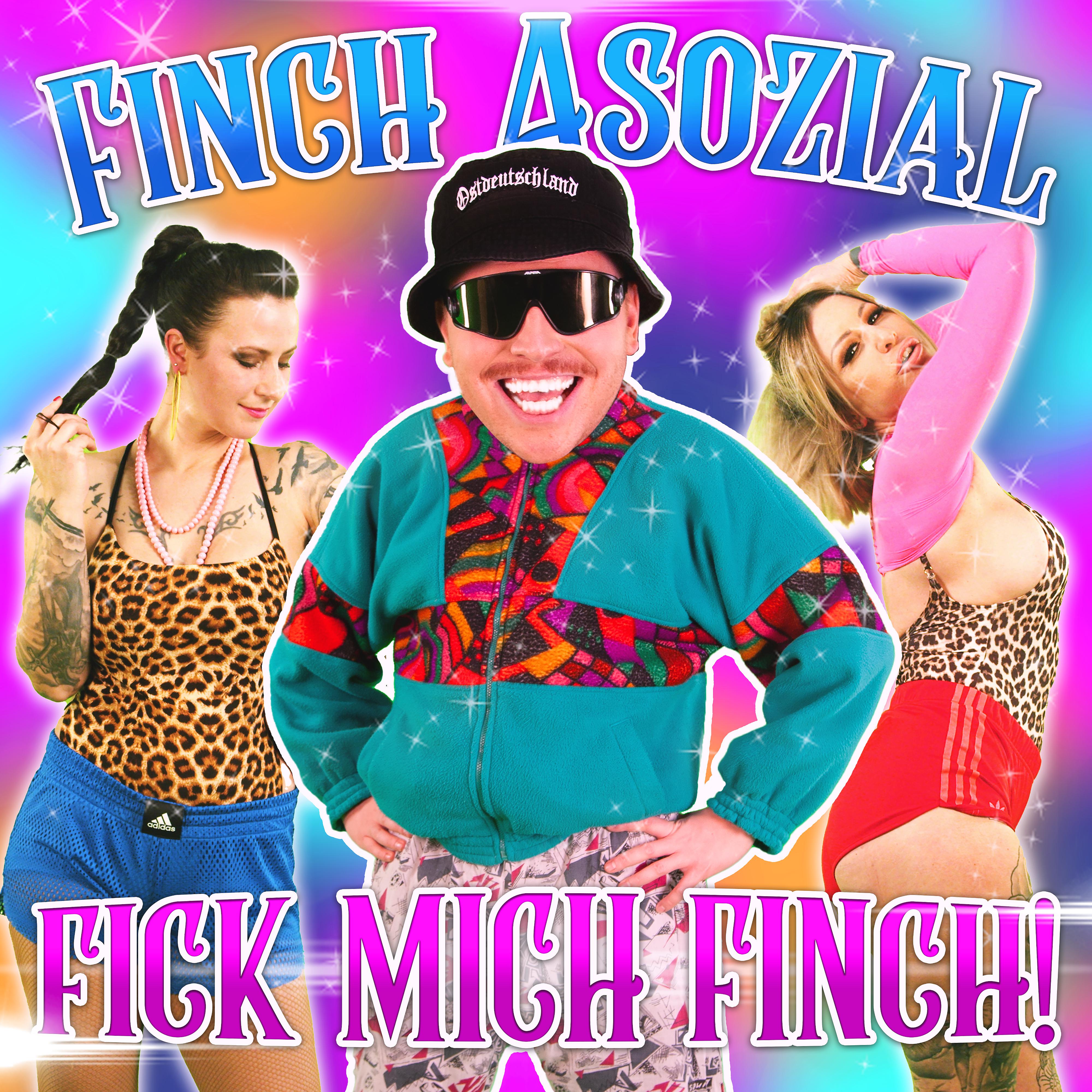 Постер альбома Fick mich Finch