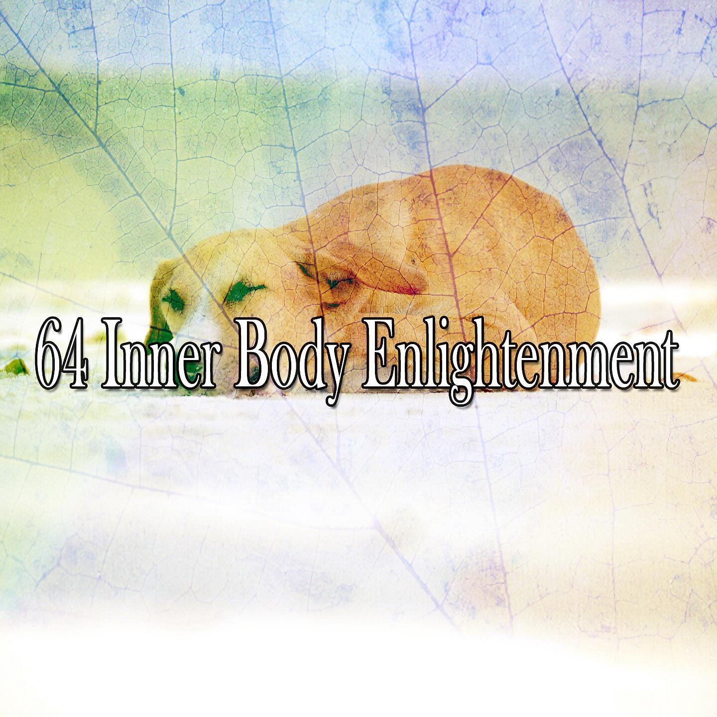 Baby Lullaby - Dream Journal