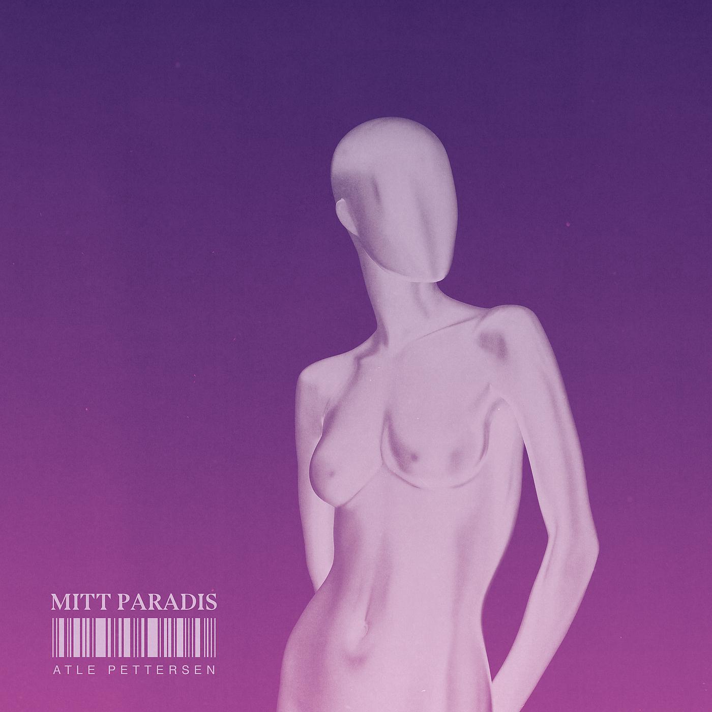 Постер альбома Mitt paradis