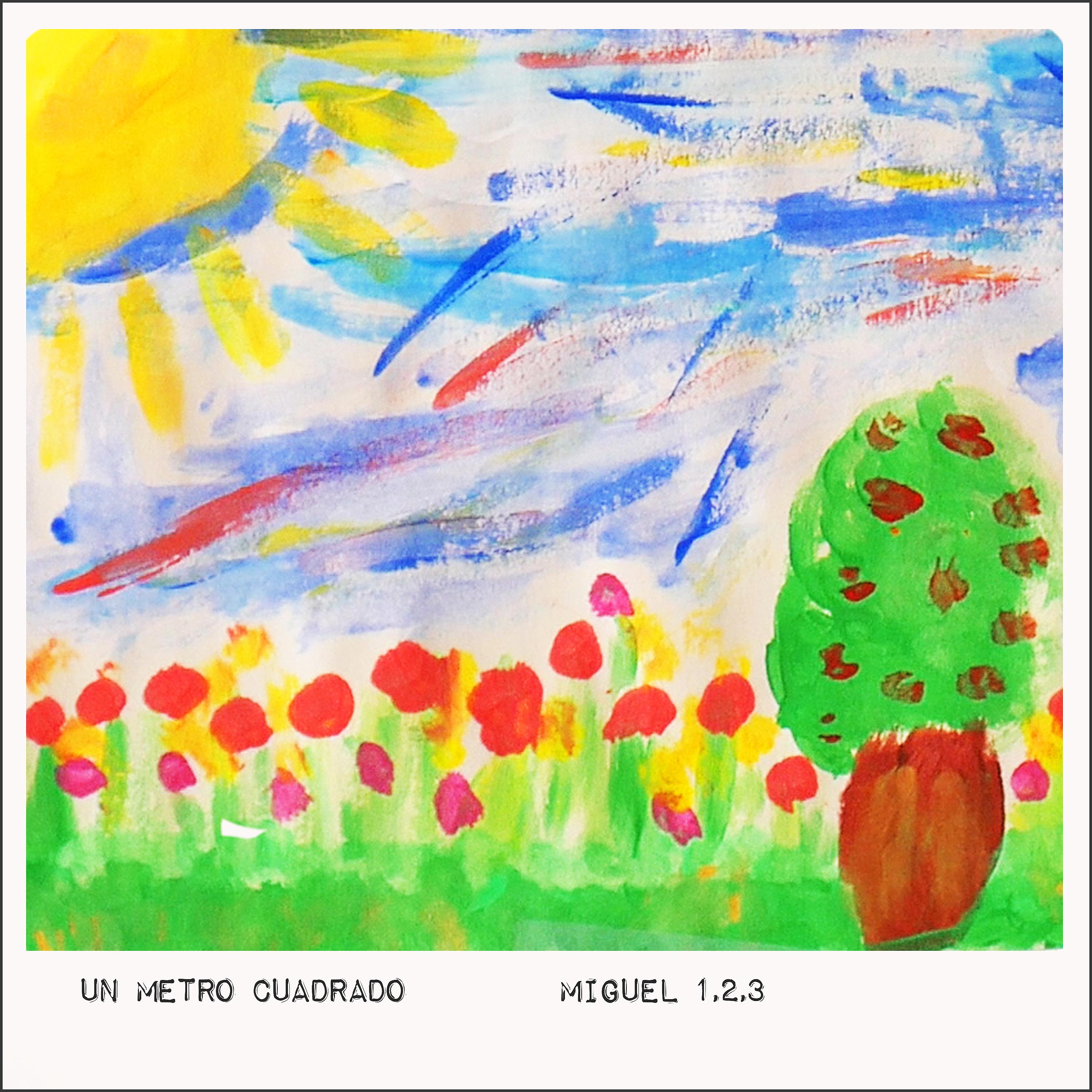 Постер альбома Un Metro Cuadrado