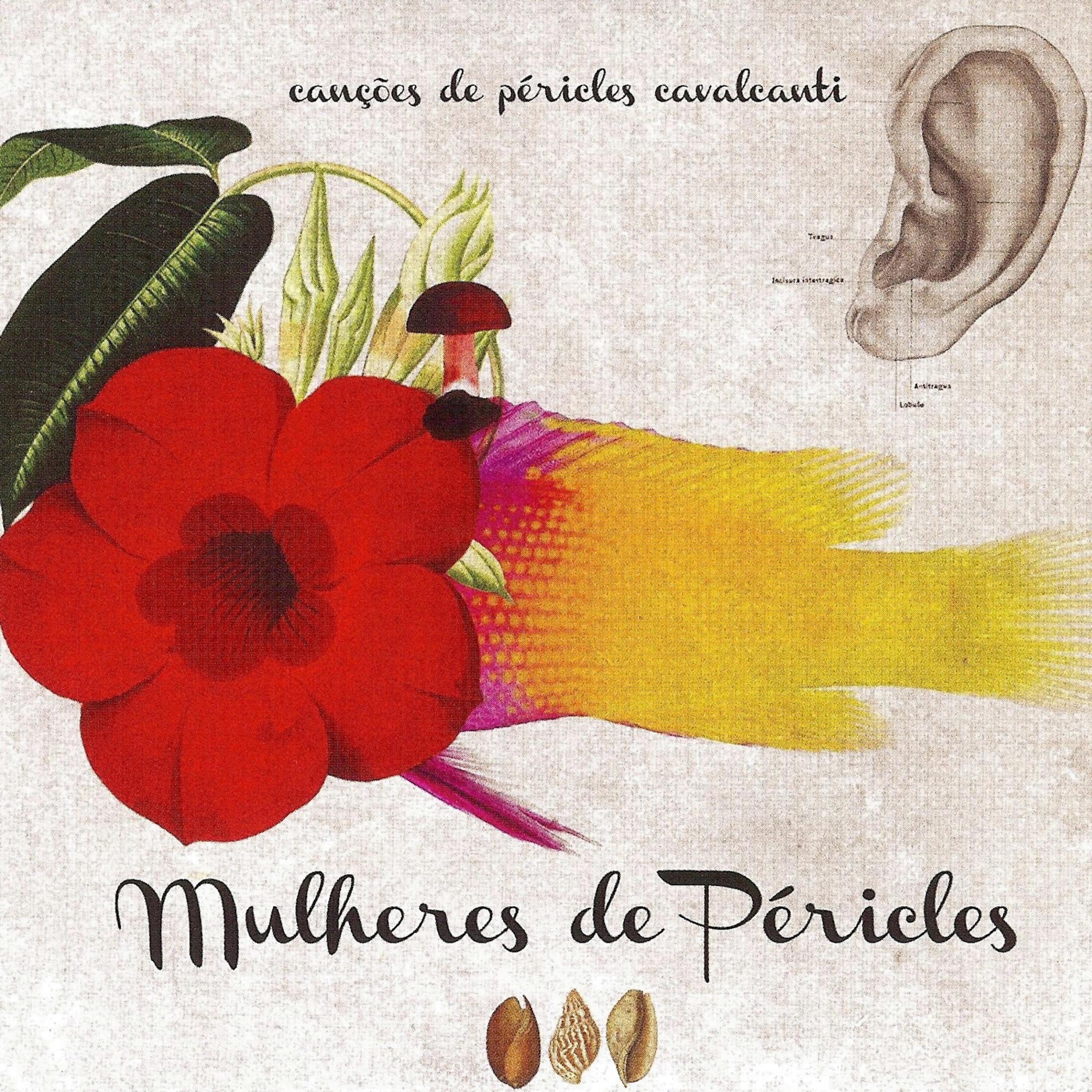 Постер альбома Mulheres de Péricles