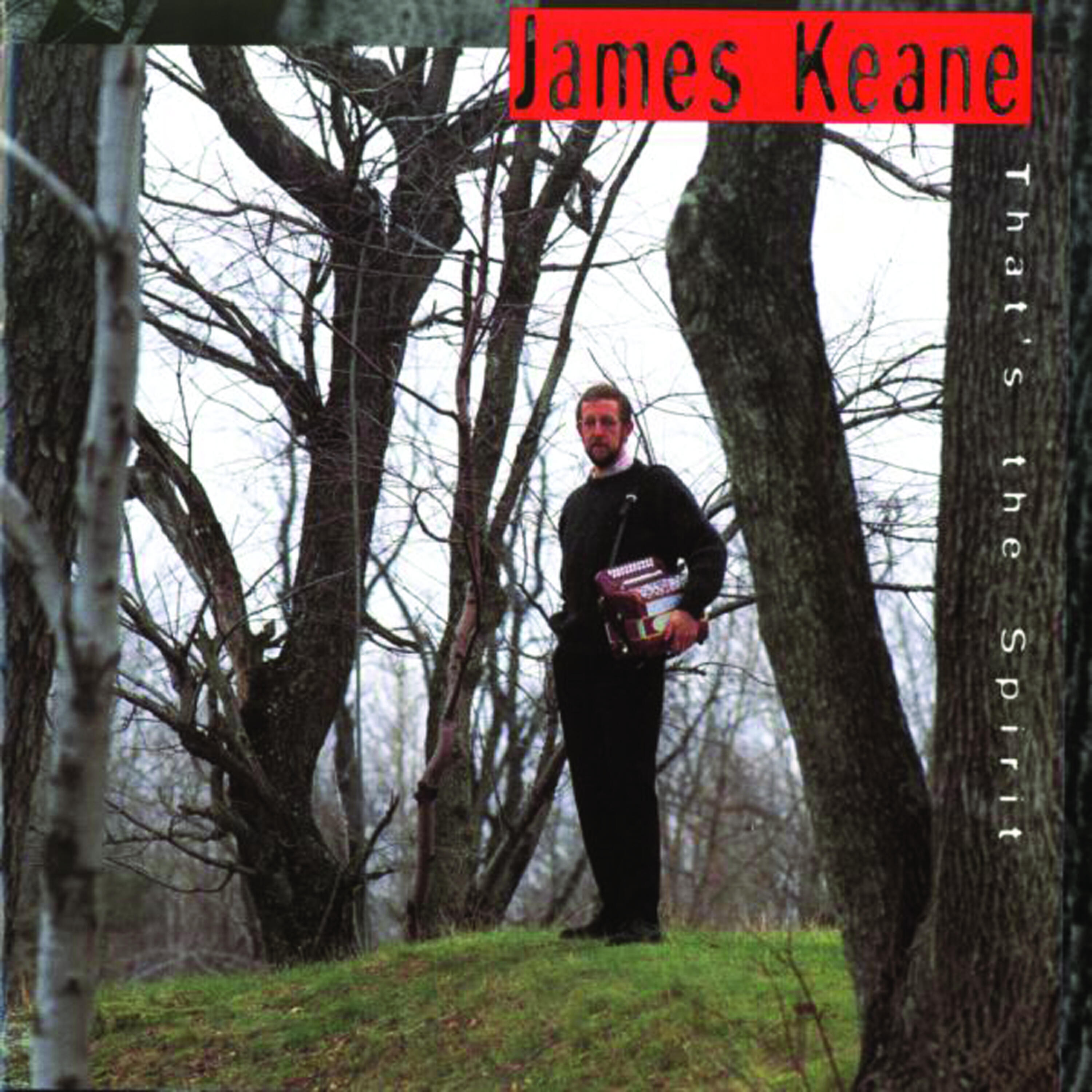 James Keane - The Two-And-Sixpenny Girl/The New House/The Tar Road To Sligo (Jigs)
