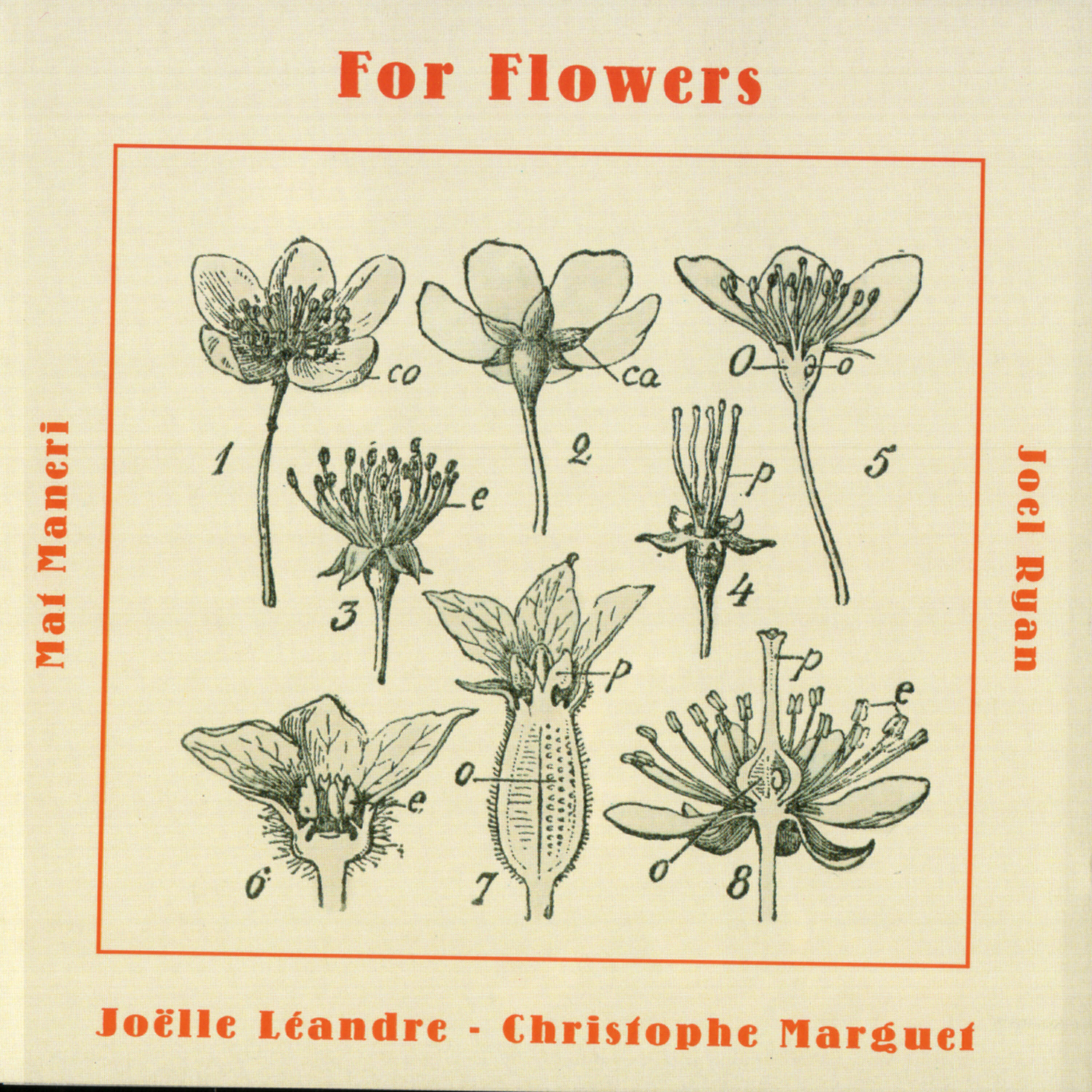Joelle Leandre - White Lily