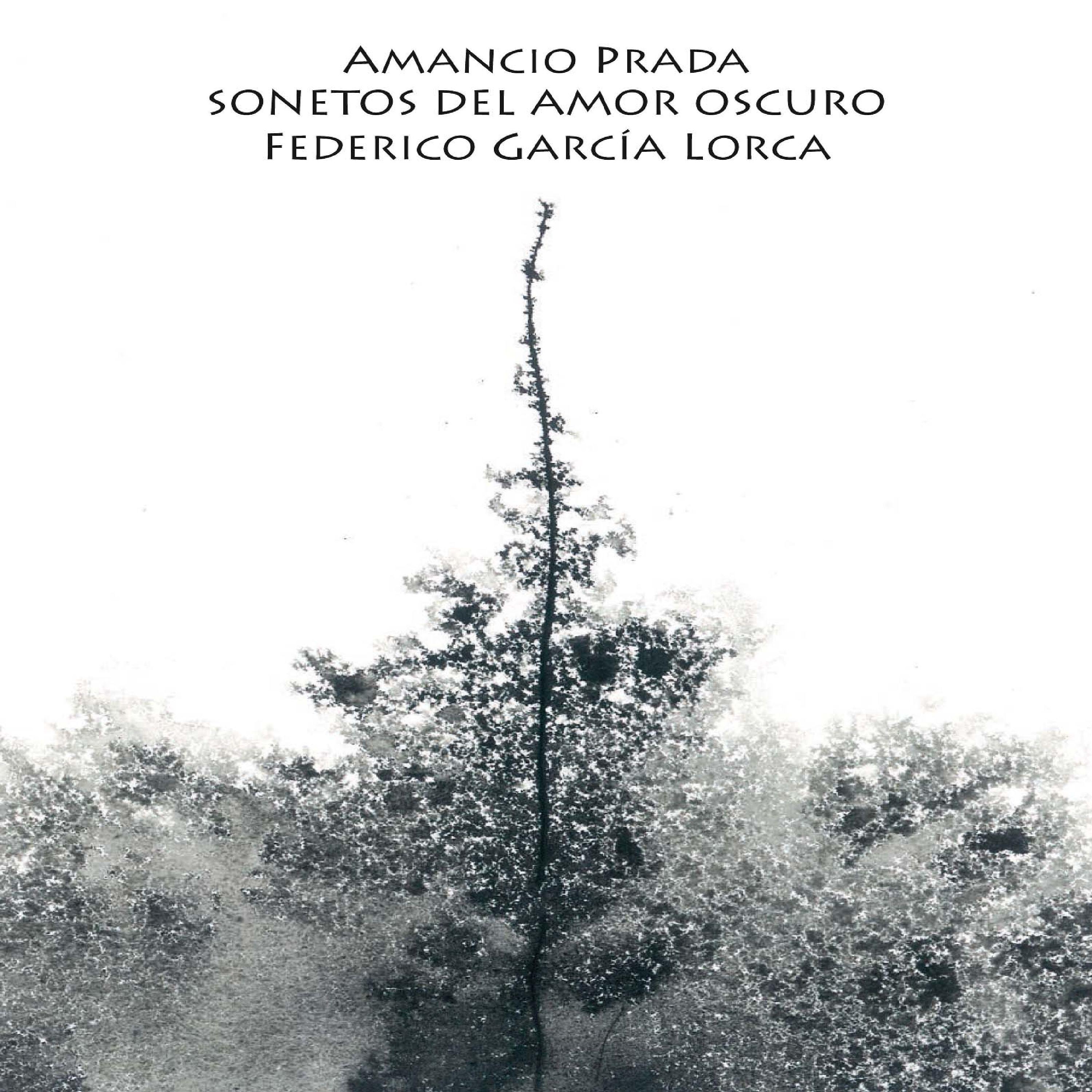 Постер альбома Sonetos del Amor Oscuro de Federico García Lorca