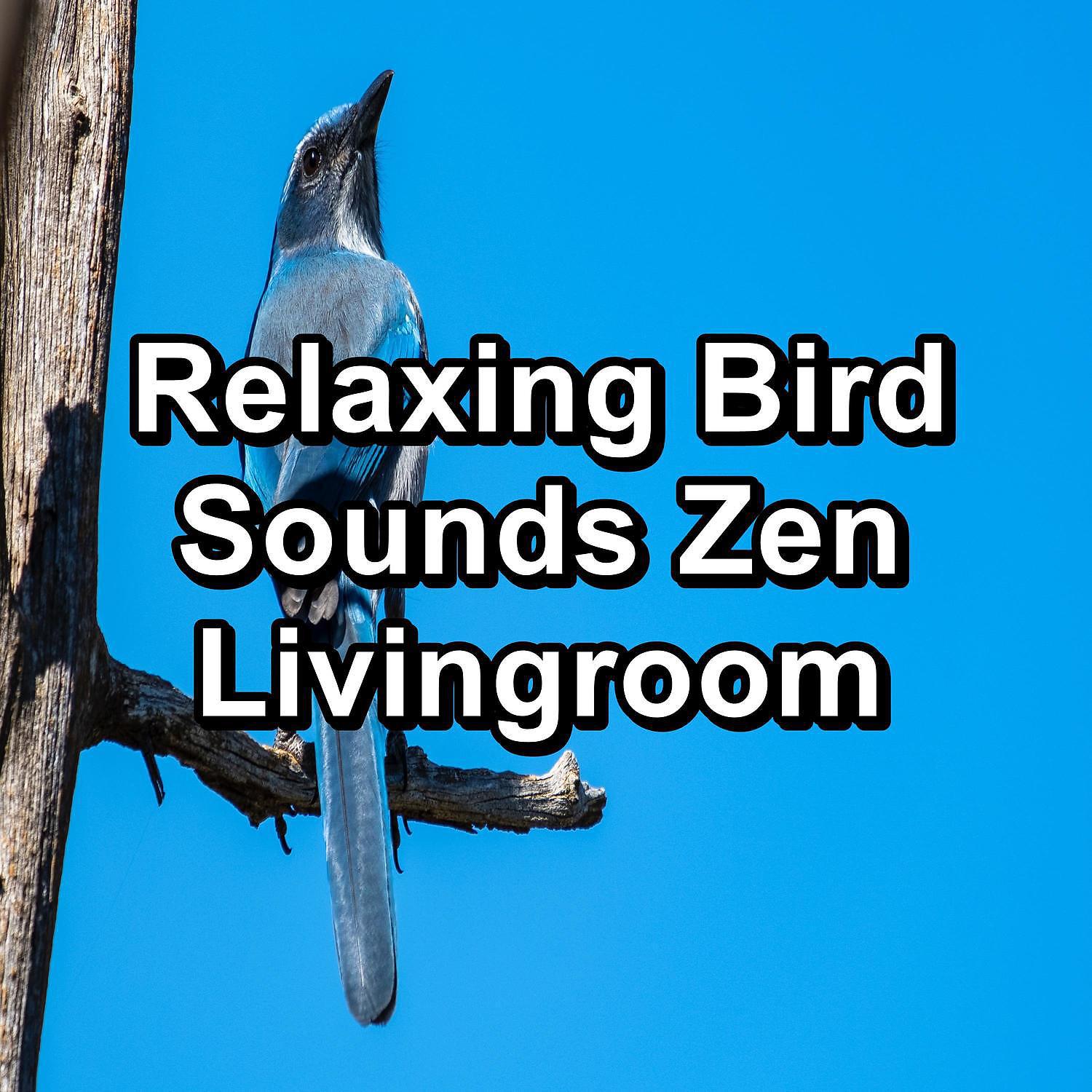 Постер альбома Relaxing Bird Sounds Zen Livingroom