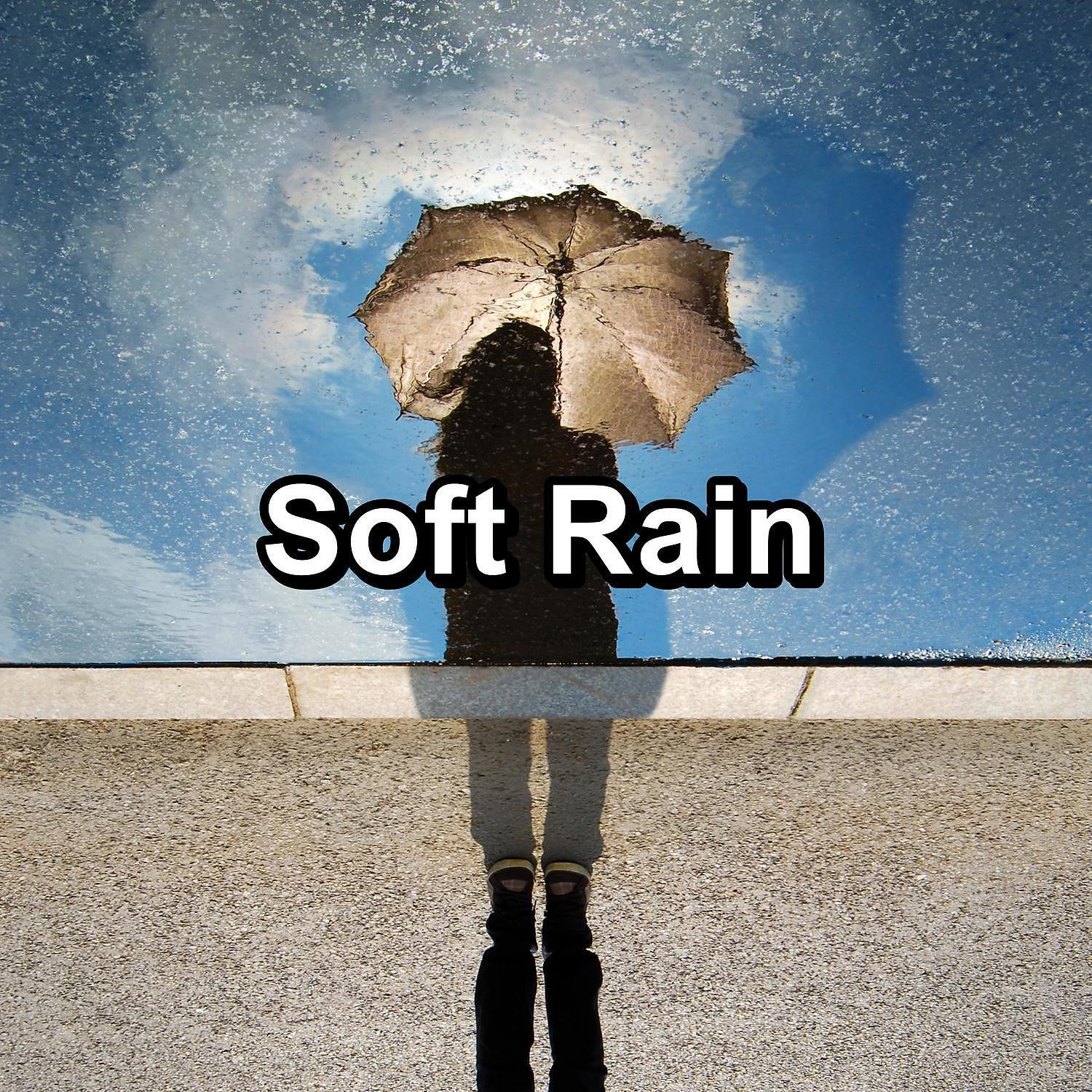 Deep Sleep Music Experience - Heavy Rain with Nature Music For Babies to Relax and Rest