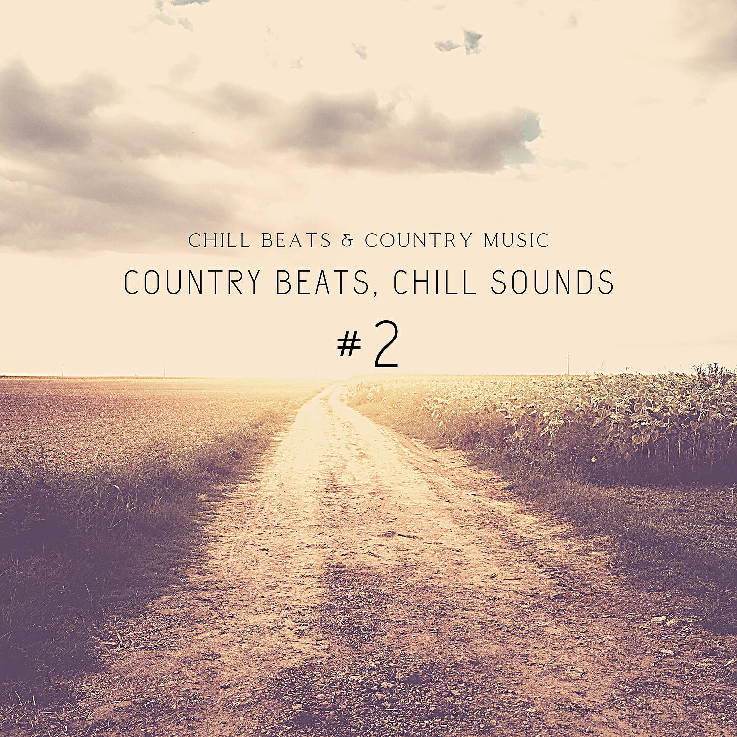 Chill Beats & Country Music - Country Beats, Chill Sounds #2