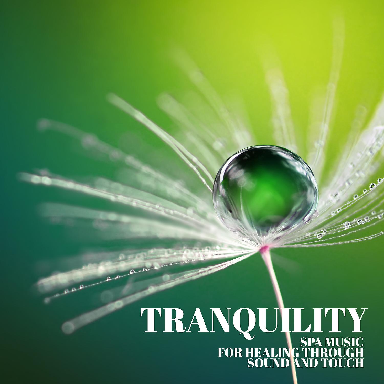 Постер альбома Tranquility Spa Music for Healing Through Sound and Touch - Relaxing Music for Stress Relief, Zen Therapy and Calm Music for Meditation, Sleep, Relax