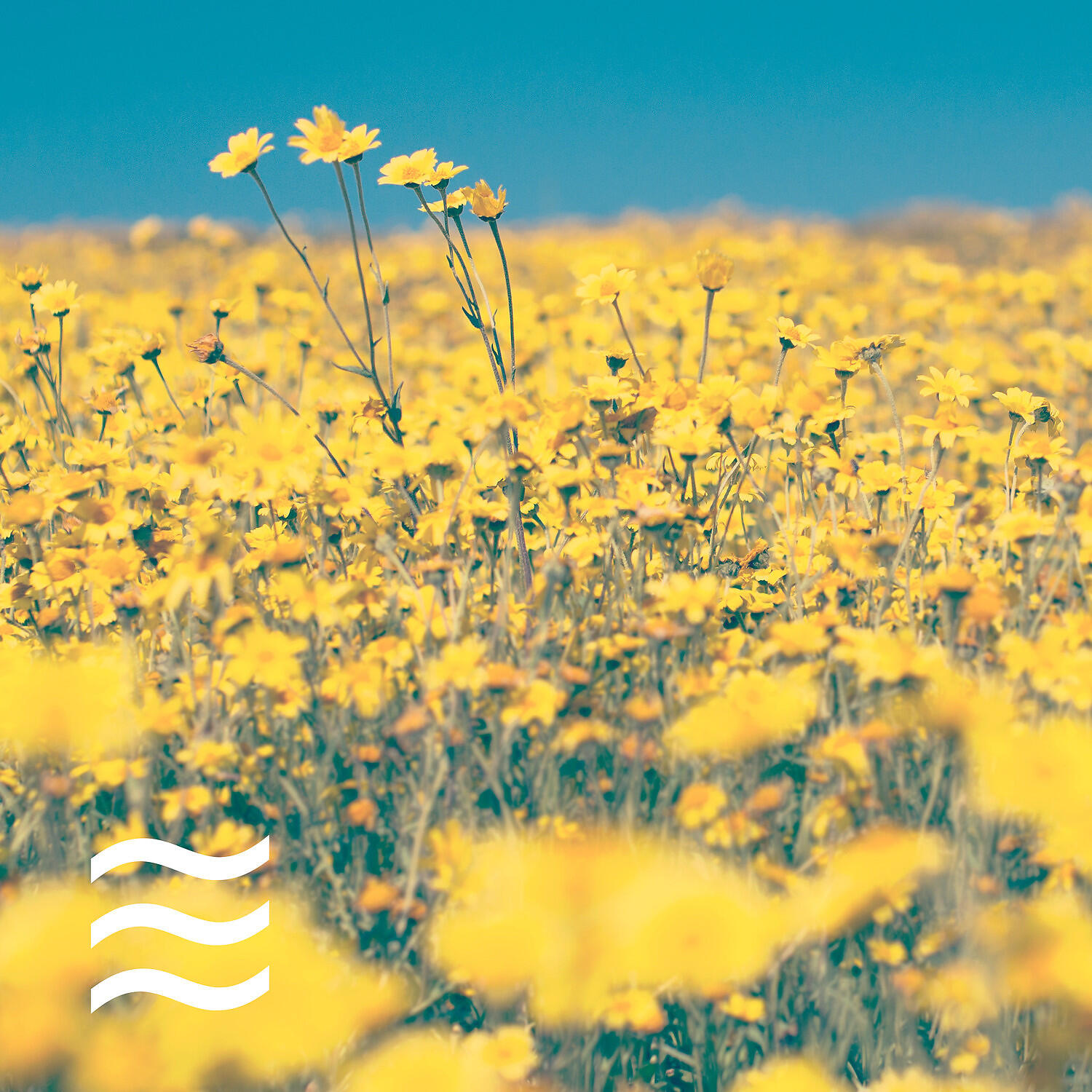 Calming Noisy Tones for Rest and Relax - Restful And Relaxing Calm Noise