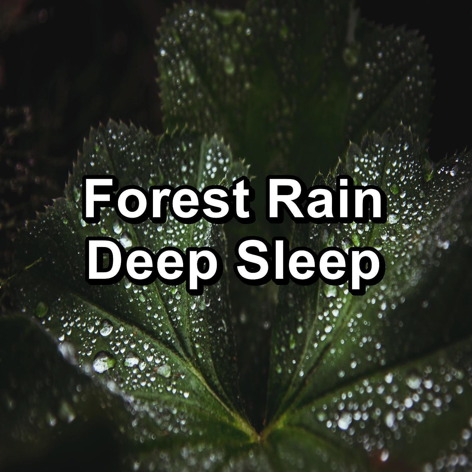 Relaxing Music Therapy - A Win Driven Rainfall