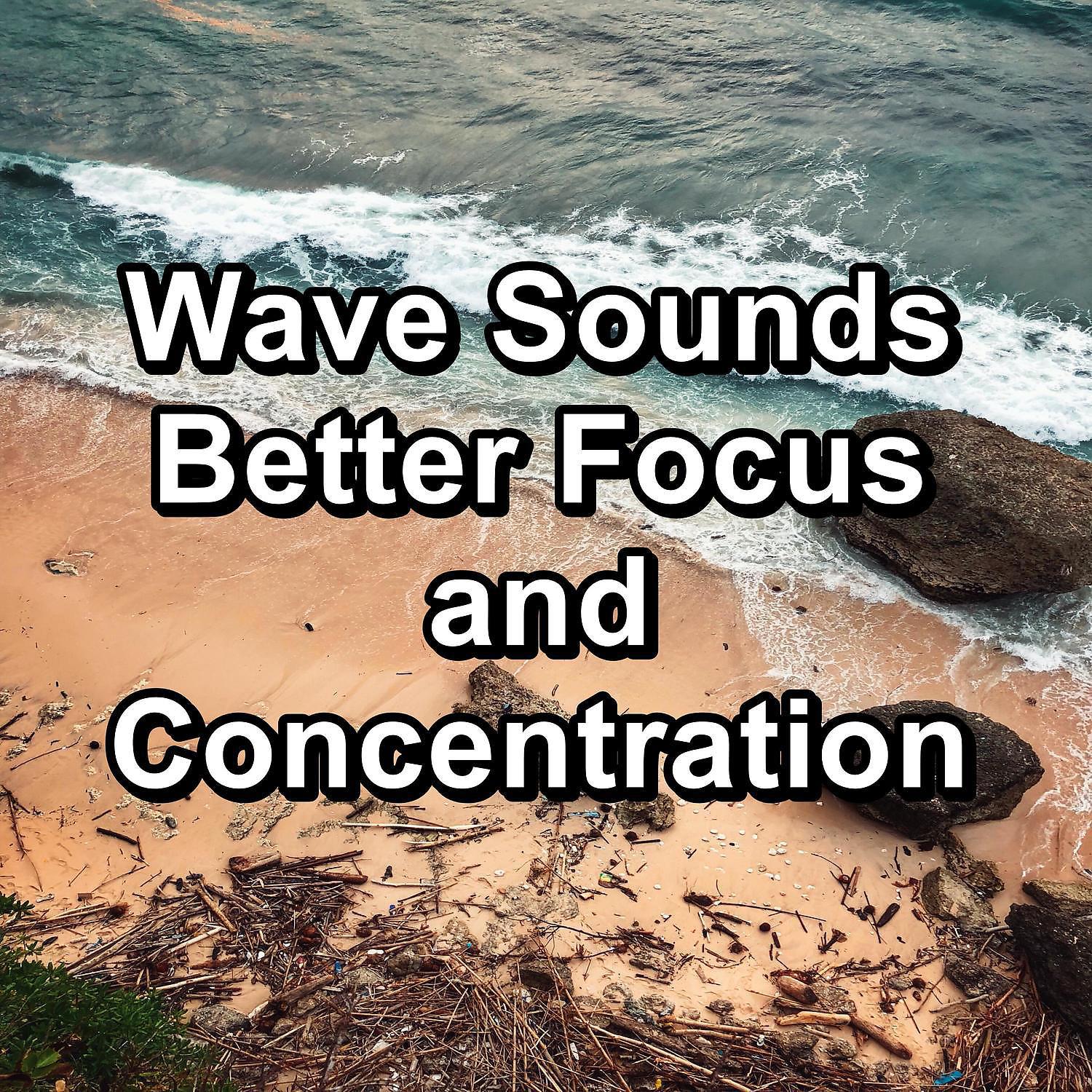 Постер альбома Wave Sounds Better Focus and Concentration