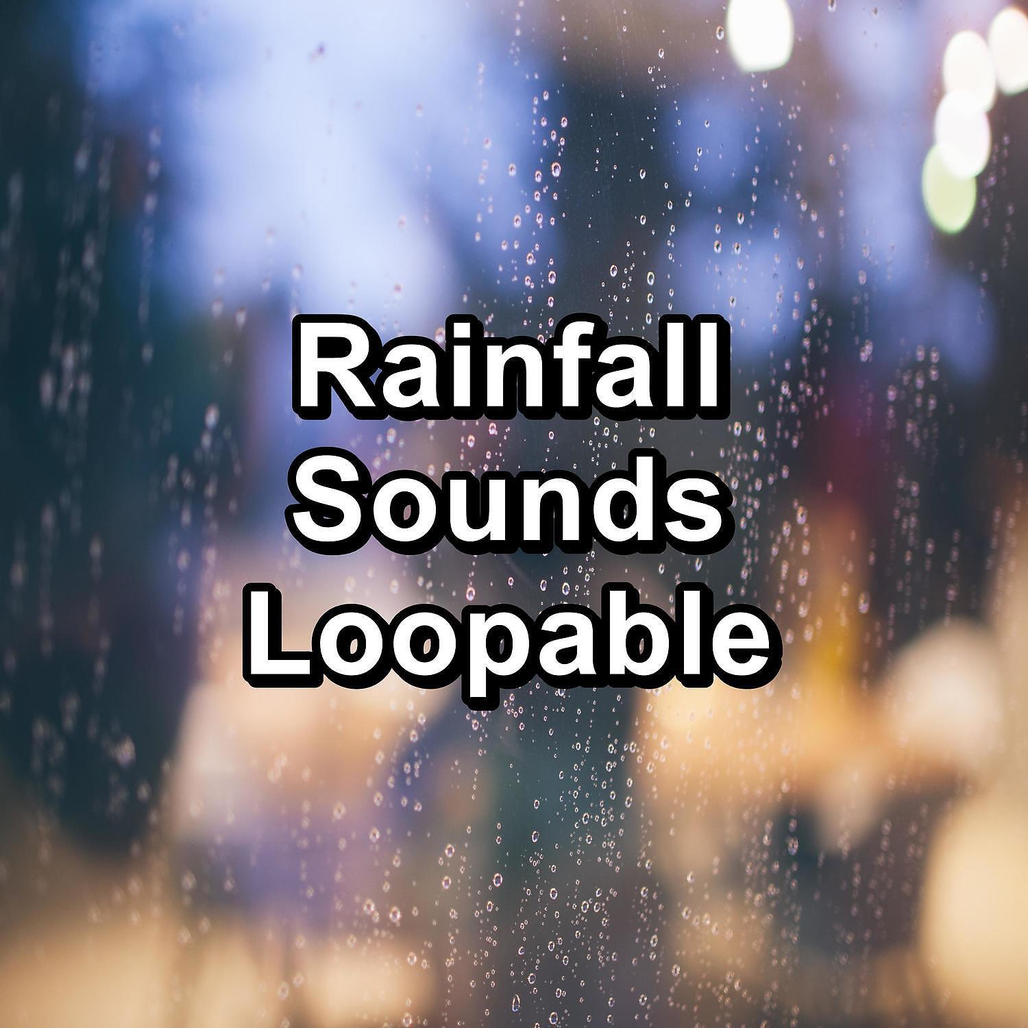 Rain Meditation - Cozy Rain with Thunder and White Noise To Repeat for 10 Hours