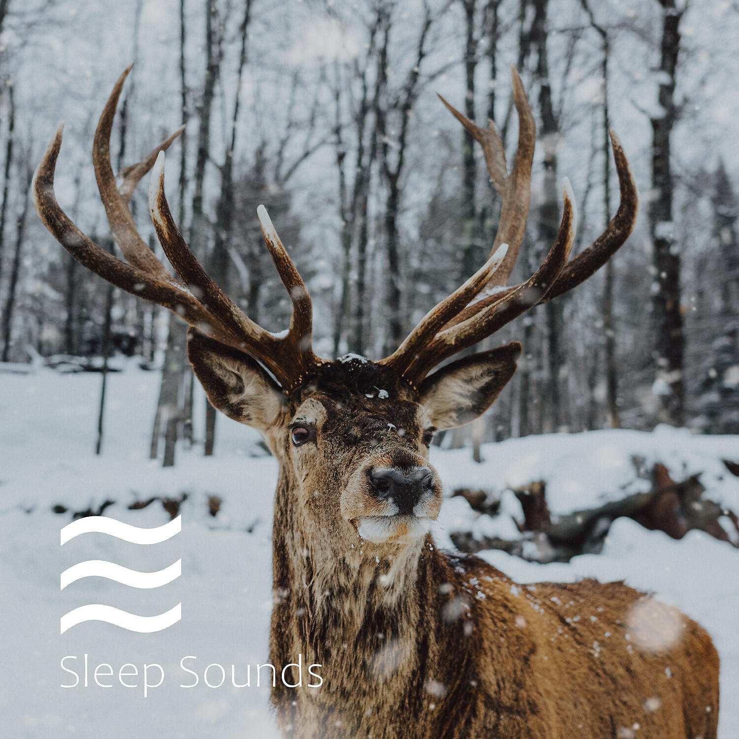 Shushing Songs of Brown Noise - Cozy shushing sounds for newborns