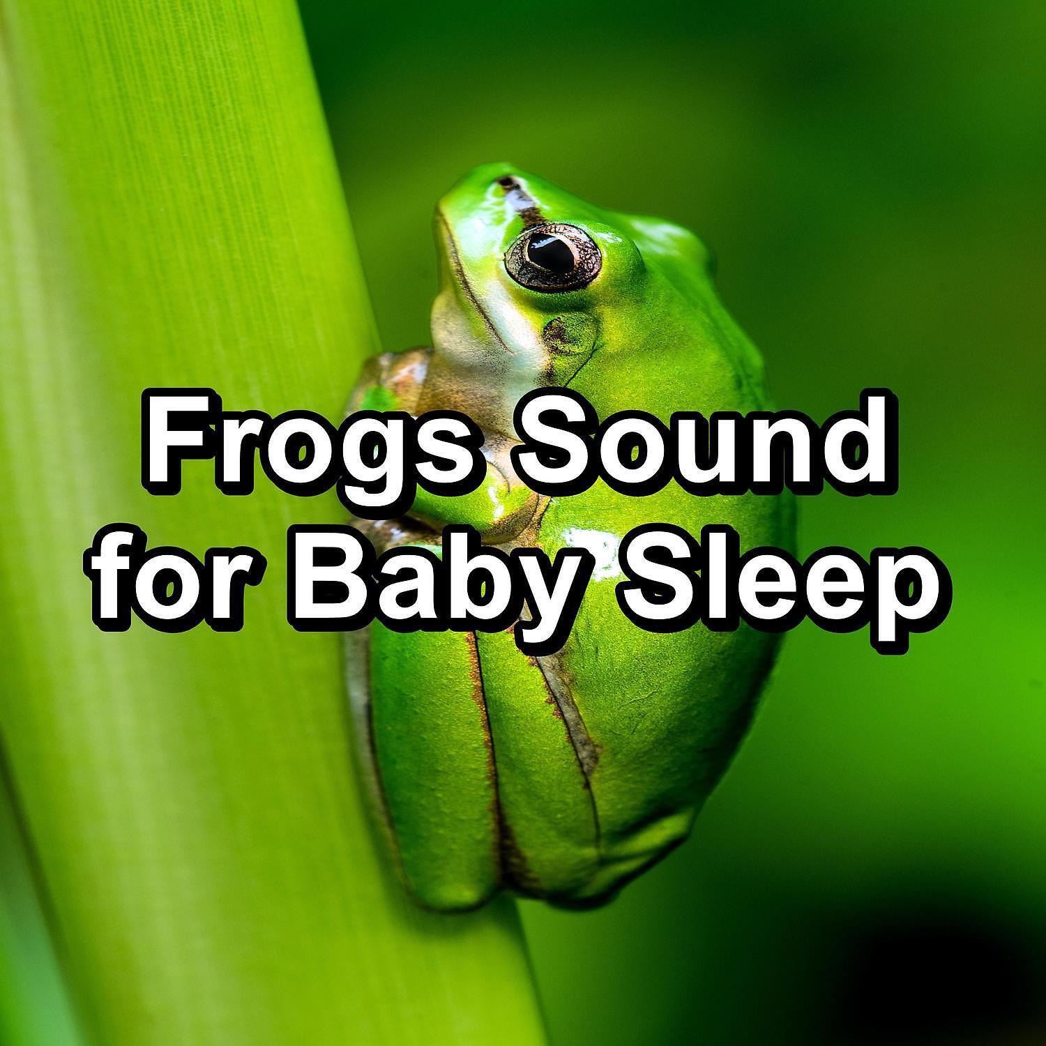 FX Makers - Relaxing Frog Sounds