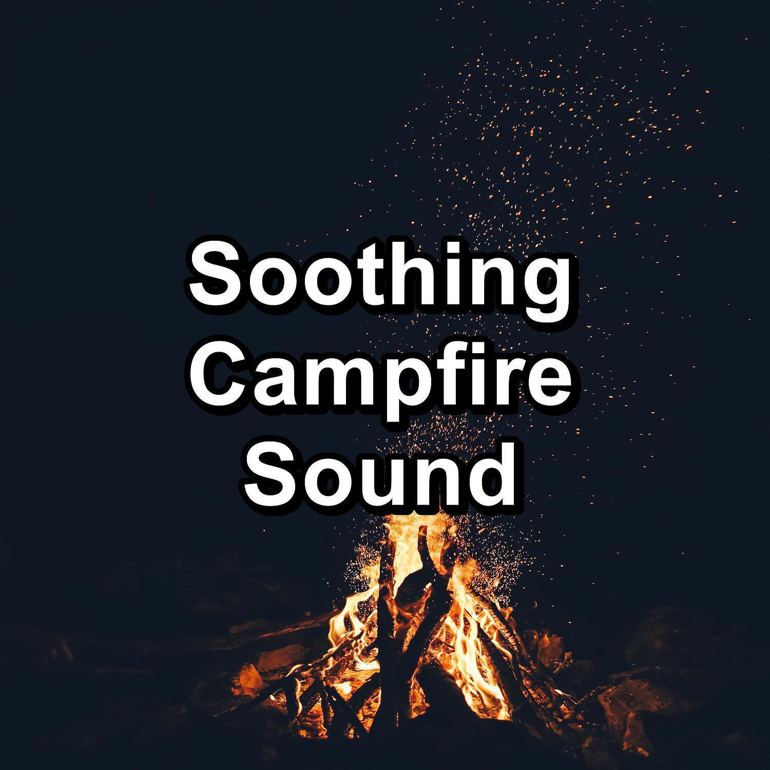 Ocean Waves For Sleep - Fire Crackling Sound in the Nature Christmas Campfire