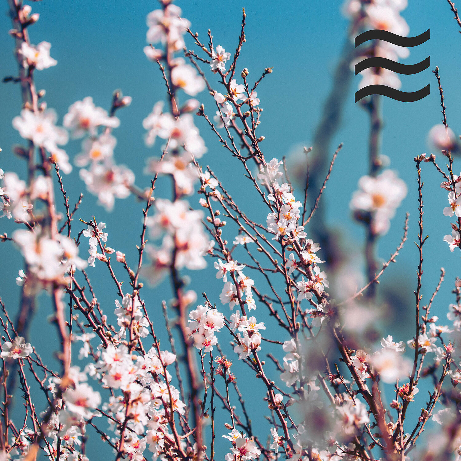 White Noise Pleasant Sound - Relaxing vacuum cleaner hum