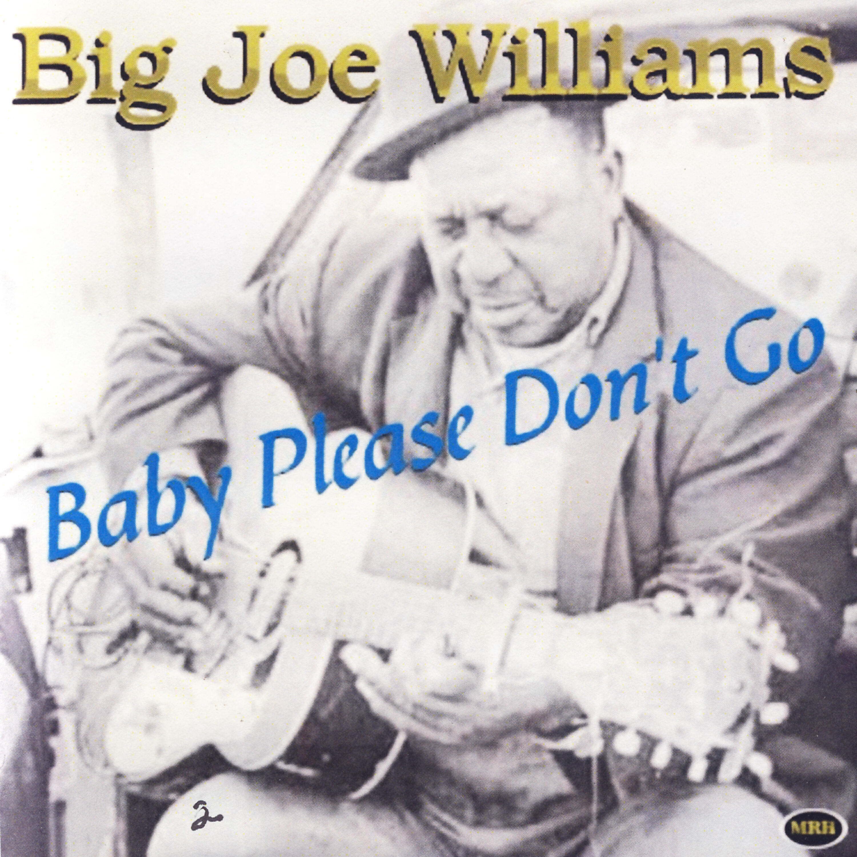 Big Joe Williams - Everybody's Blues