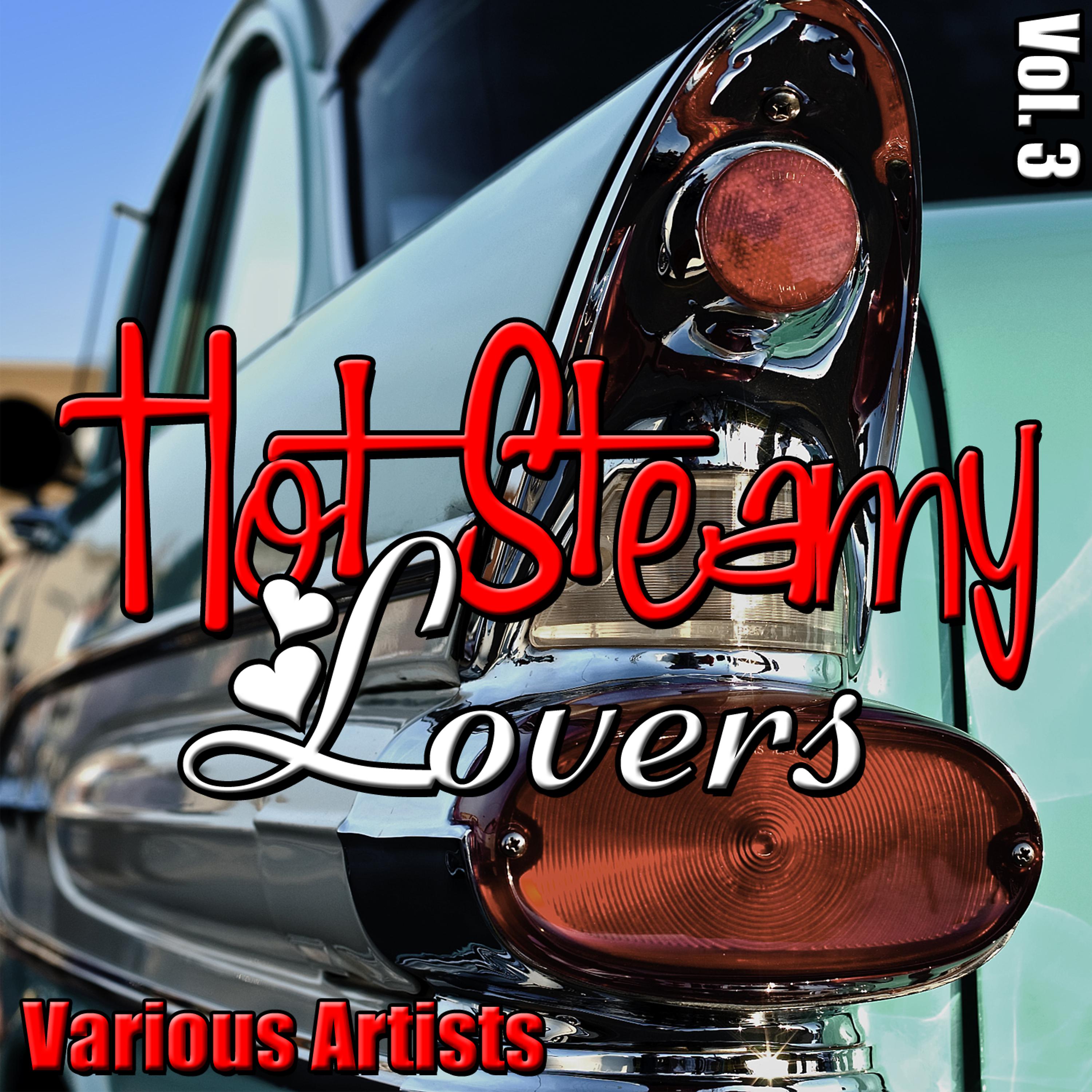 Постер альбома Hot Steamy Lovers, Vol. 3