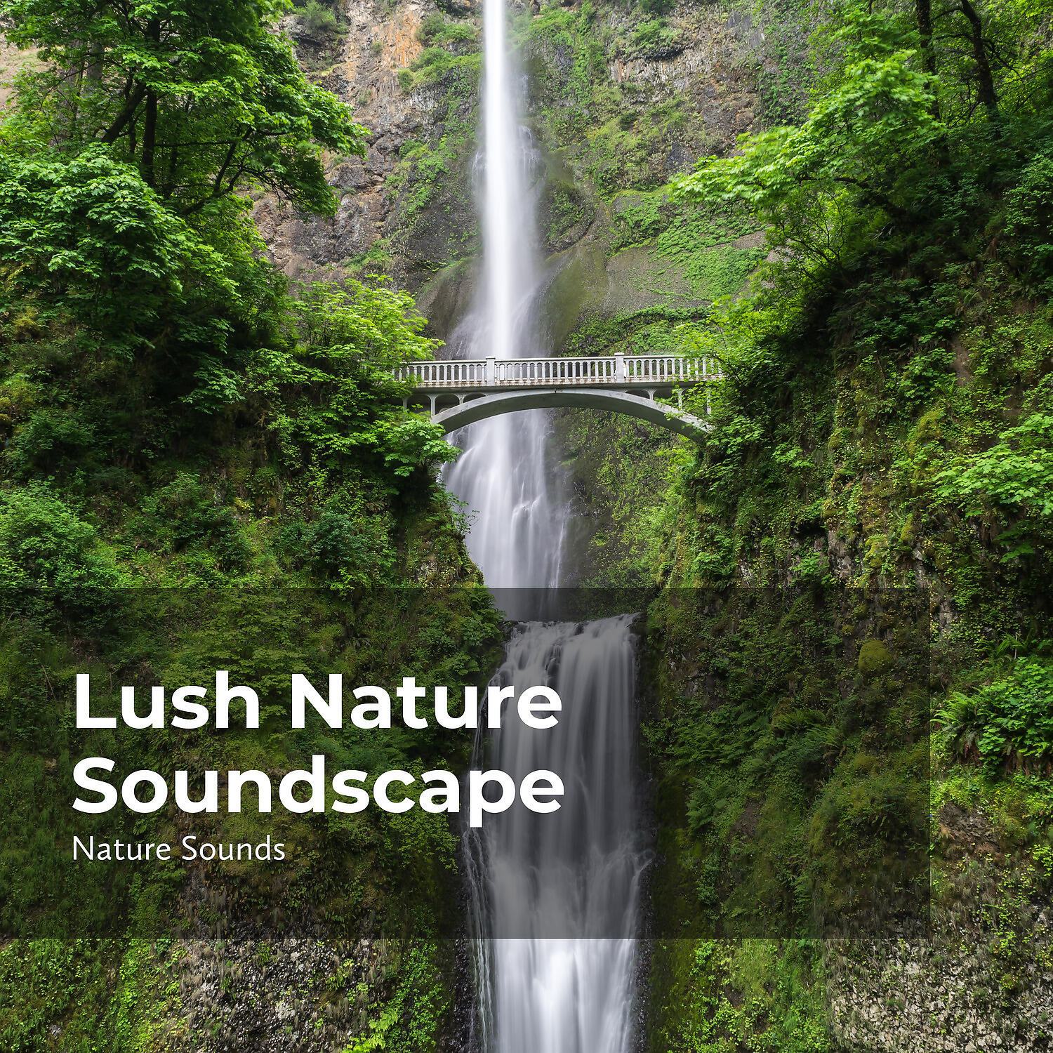 Nature Sounds - Venture Into the Wilds