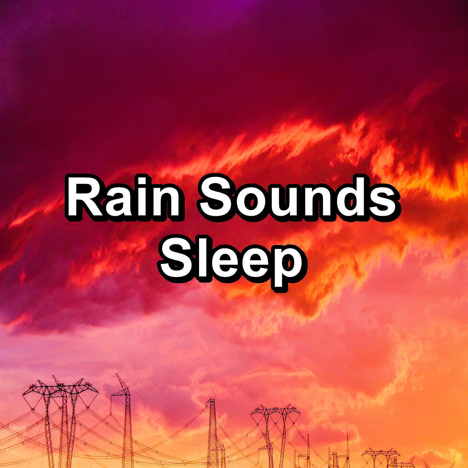 Sleep - Moderate Rain on a Tin Roof To Relax and Loop for 8 Hours