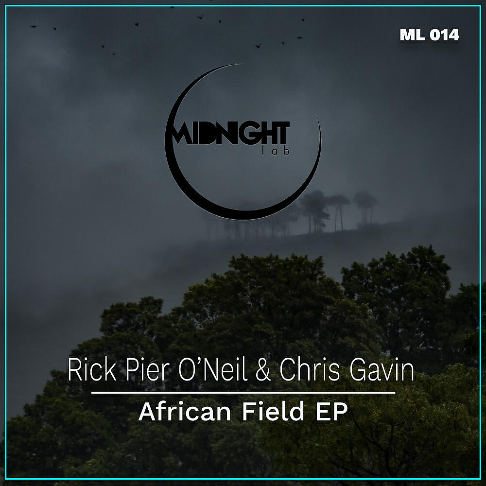 Rick Pier O’Neil - African Field (Original Mix)