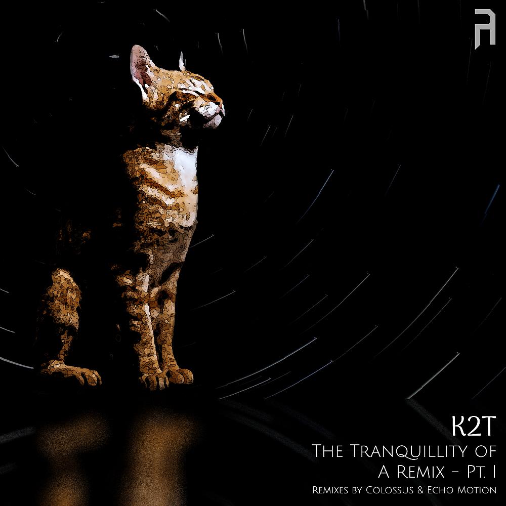 Постер альбома The Tranquillity of A Remix - Pt. I