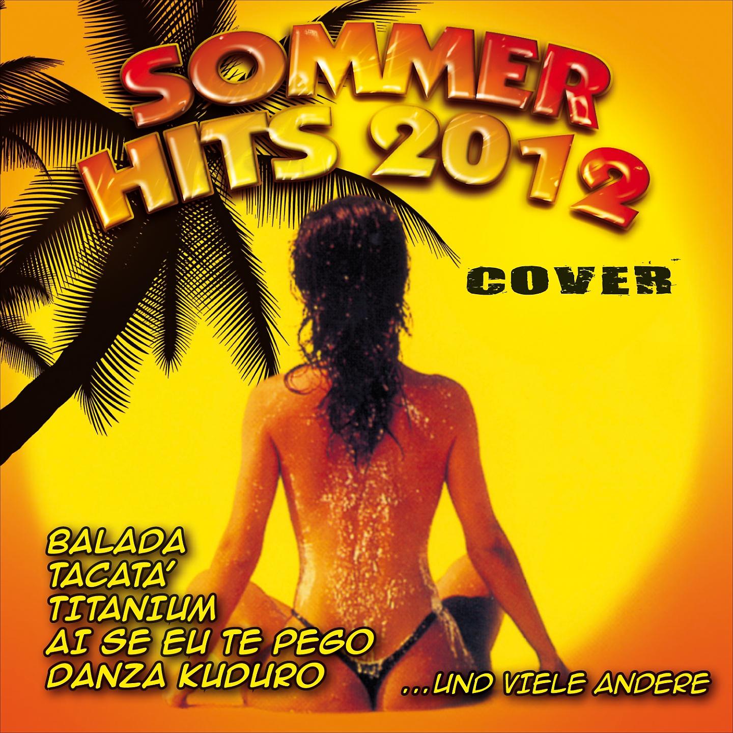 Постер альбома Sommer Hits 2012