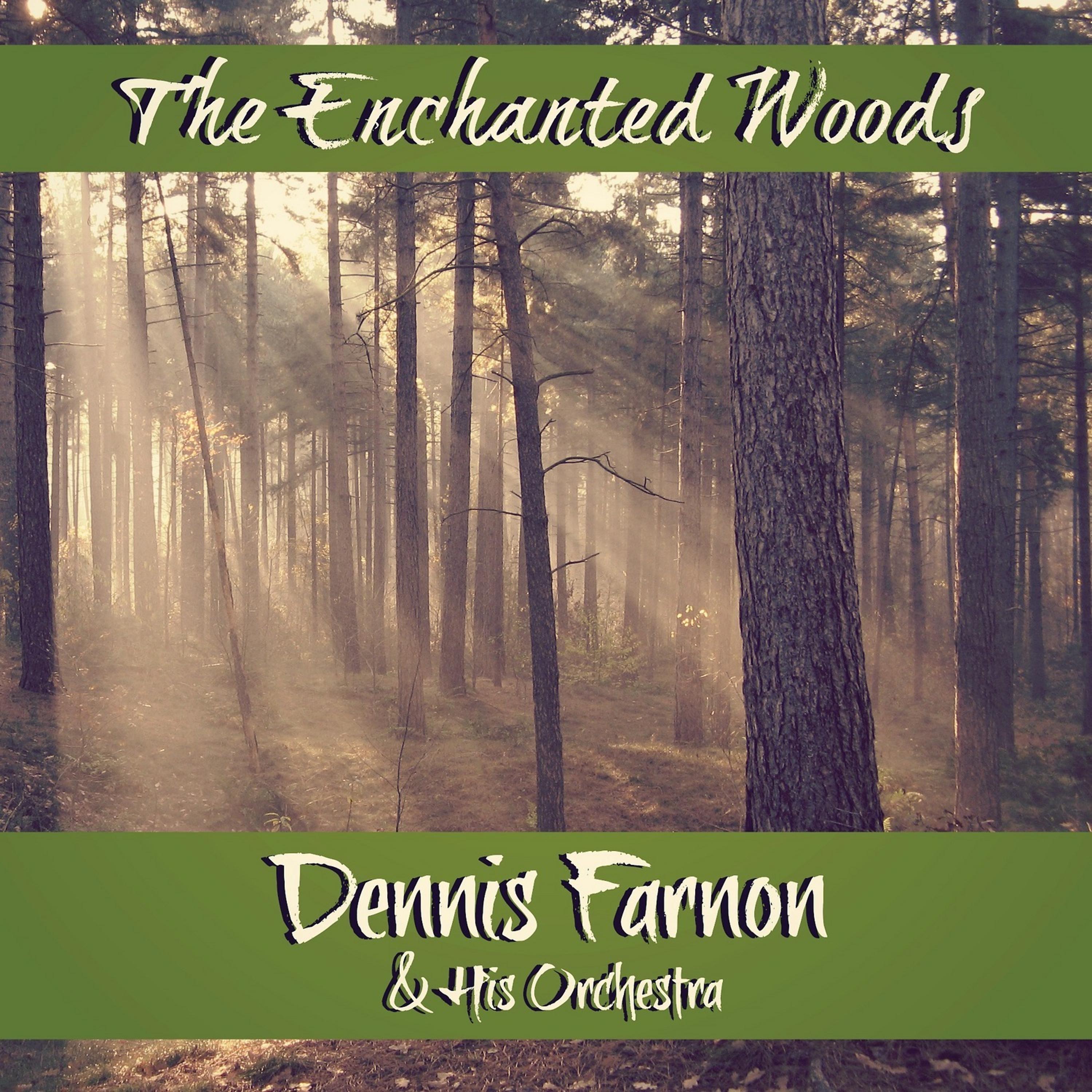Постер альбома The Enchanted Woods
