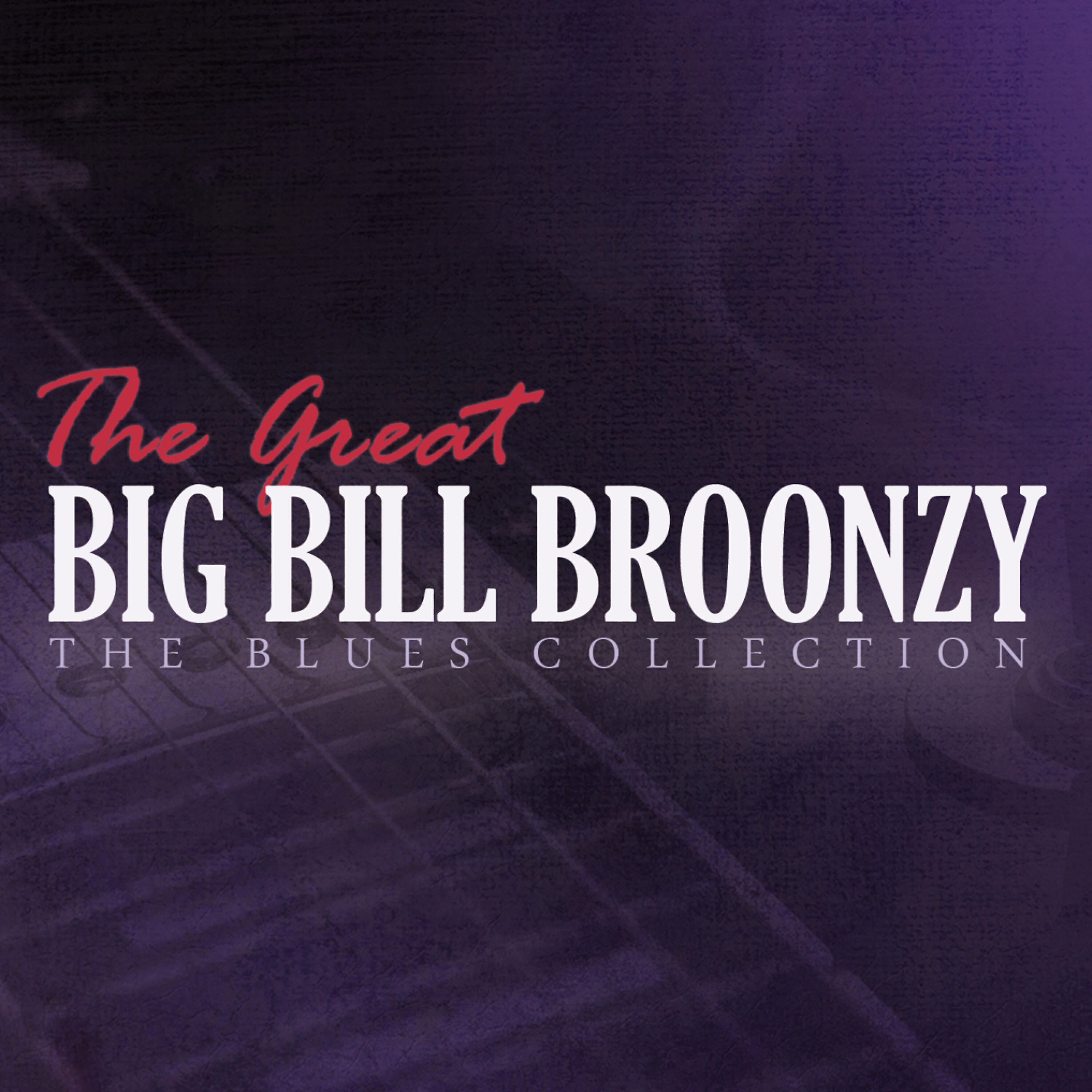 Big Bill Broonzy - Getting Older Every Day