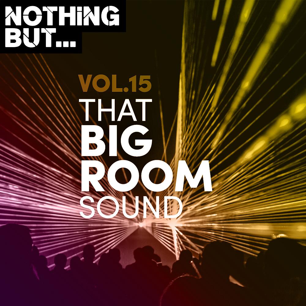 Постер альбома Nothing But... That Big Room Sound, Vol. 15