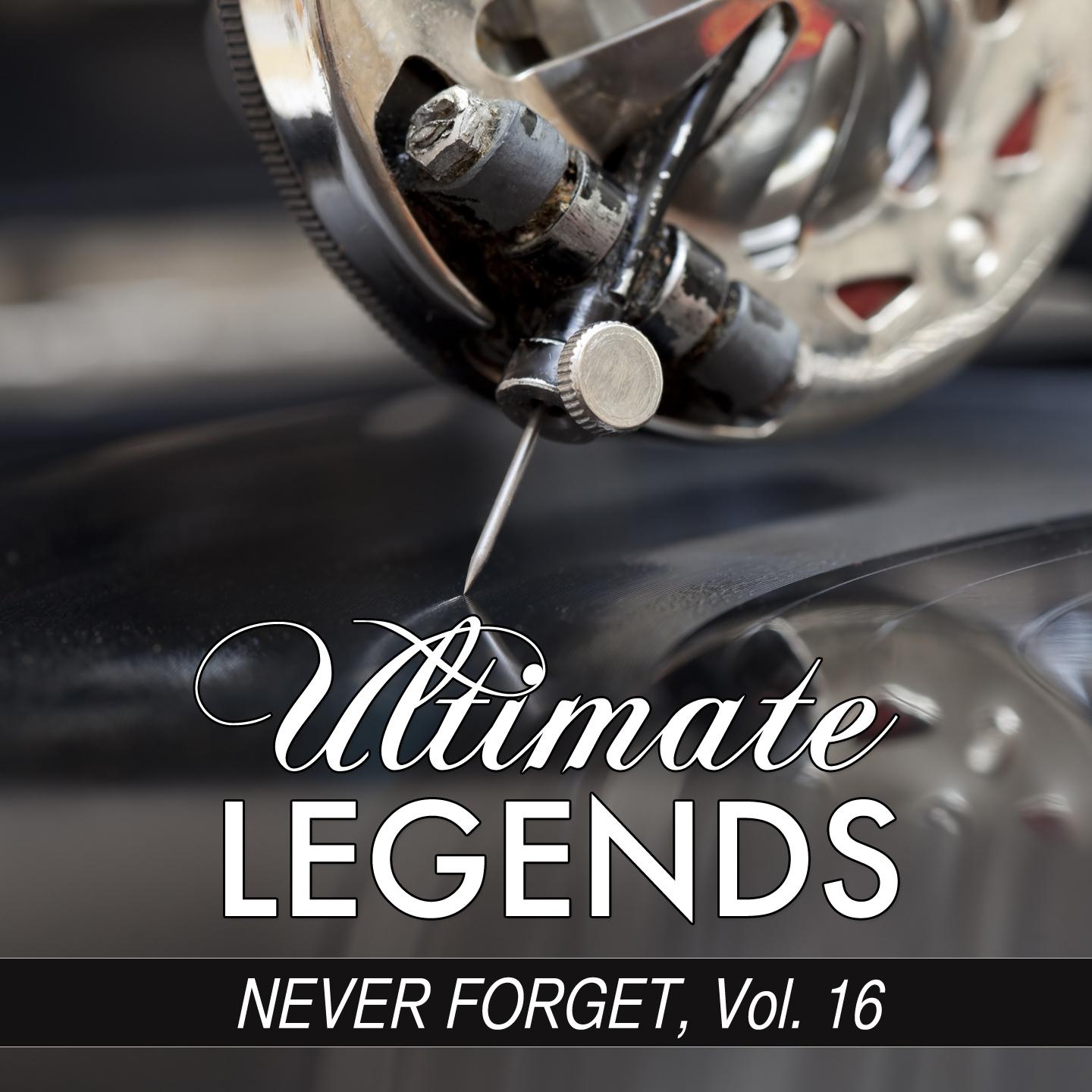 Постер альбома Never Forget, Vol. 16 (Ultimate Legends Presents Never Forget, Vol. 16)