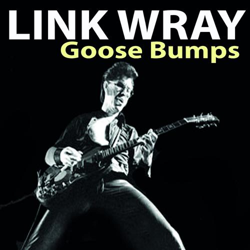 Постер альбома Goose Bumps