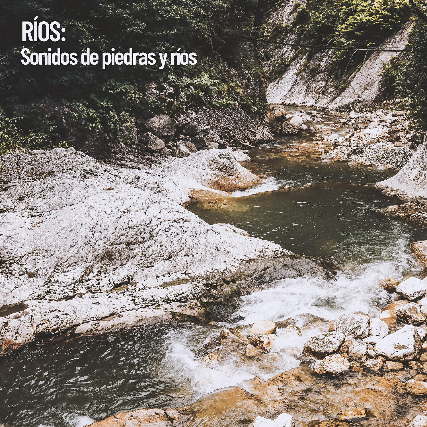 The Rain Library - Movimiento del río a través de la piedra