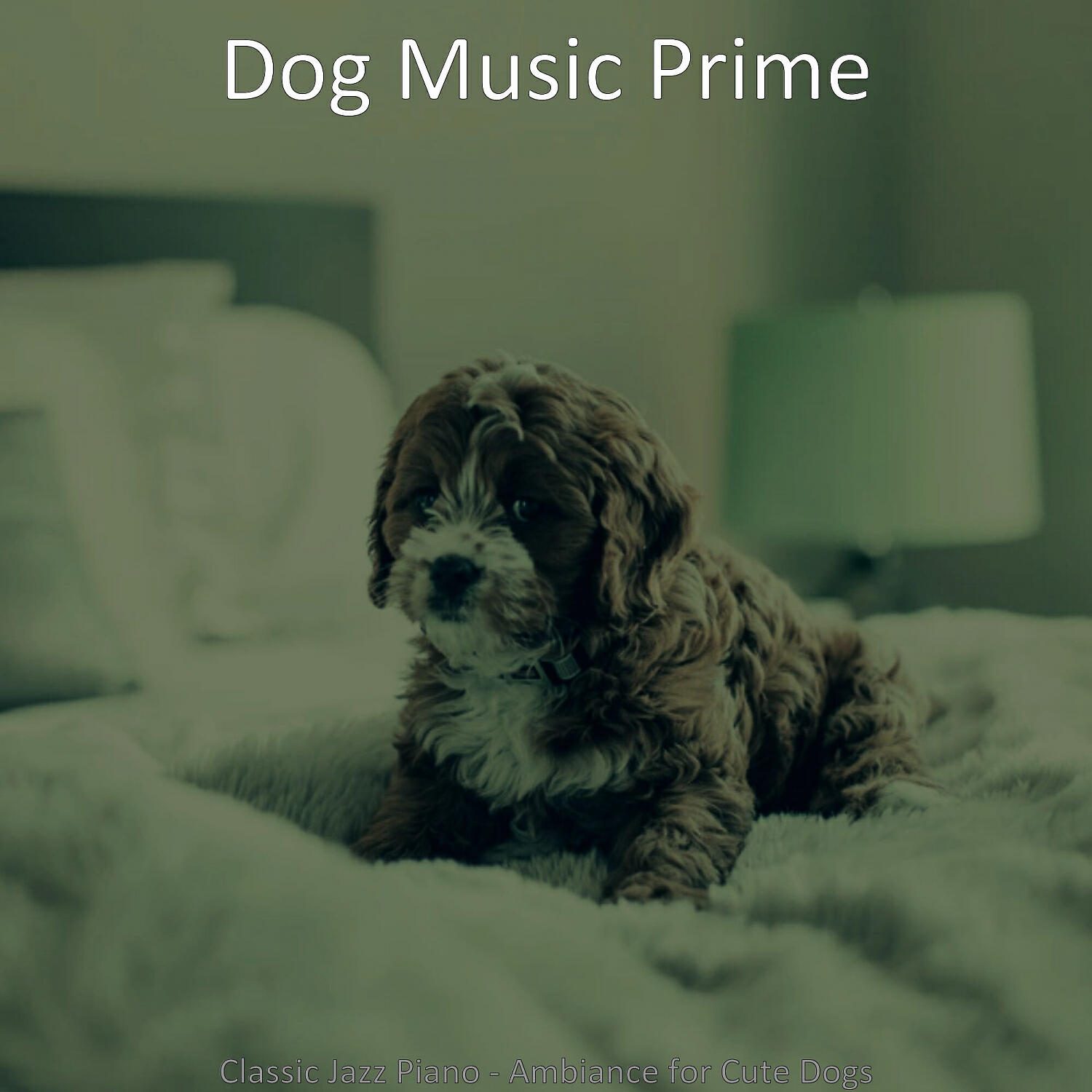 Dog Music Prime - Groovy Solo Piano Jazz - Vibe for Doggy Training