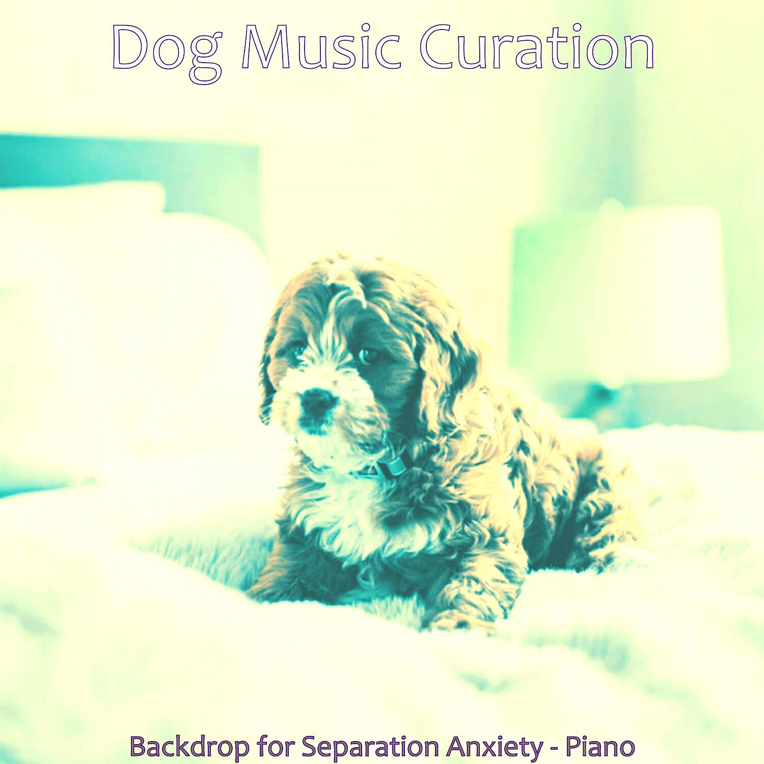 Dog Music Curation - Simplistic Solo Piano Jazz - Vibe for Separation Anxiety