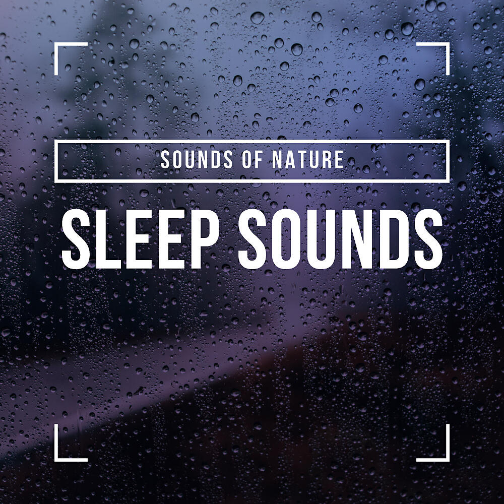 Sounds Of Nature - Rainstorm (Original Mix)