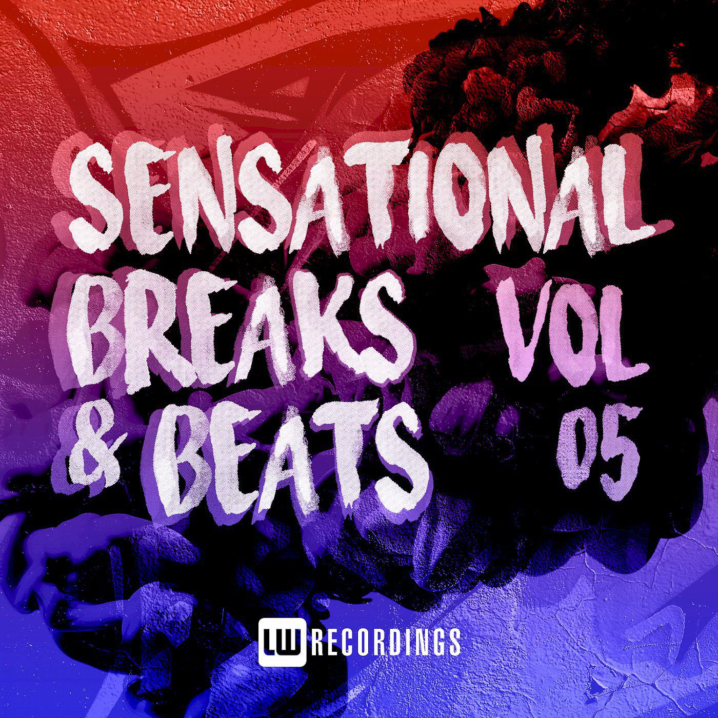 Постер альбома Sensational Breaks & Beats, Vol. 05